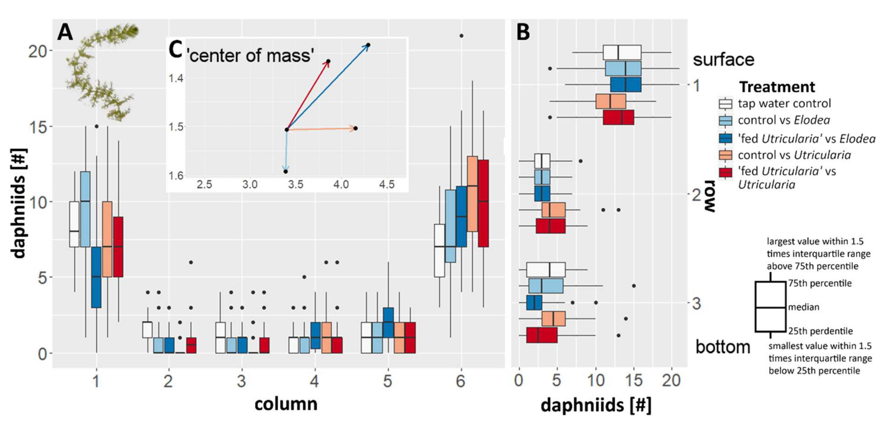 Ijms 23 06474 g004 Ijms 23 06474 g004