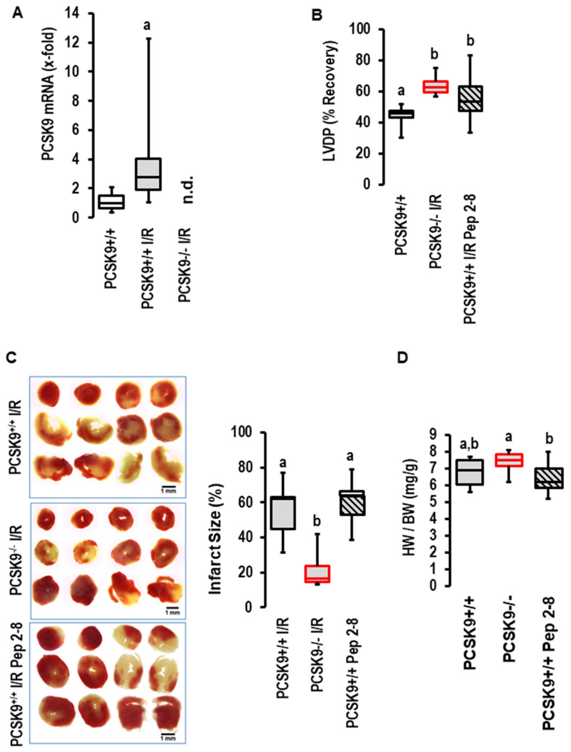 Ijms 23 06512 g003 Ijms 23 06512 g003