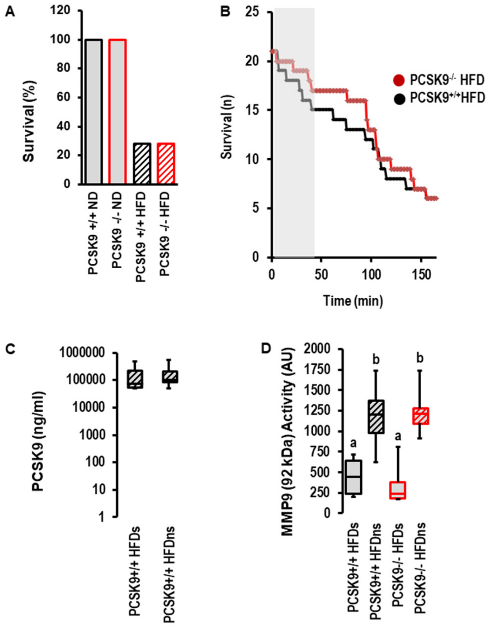 Ijms 23 06512 g005 Ijms 23 06512 g005