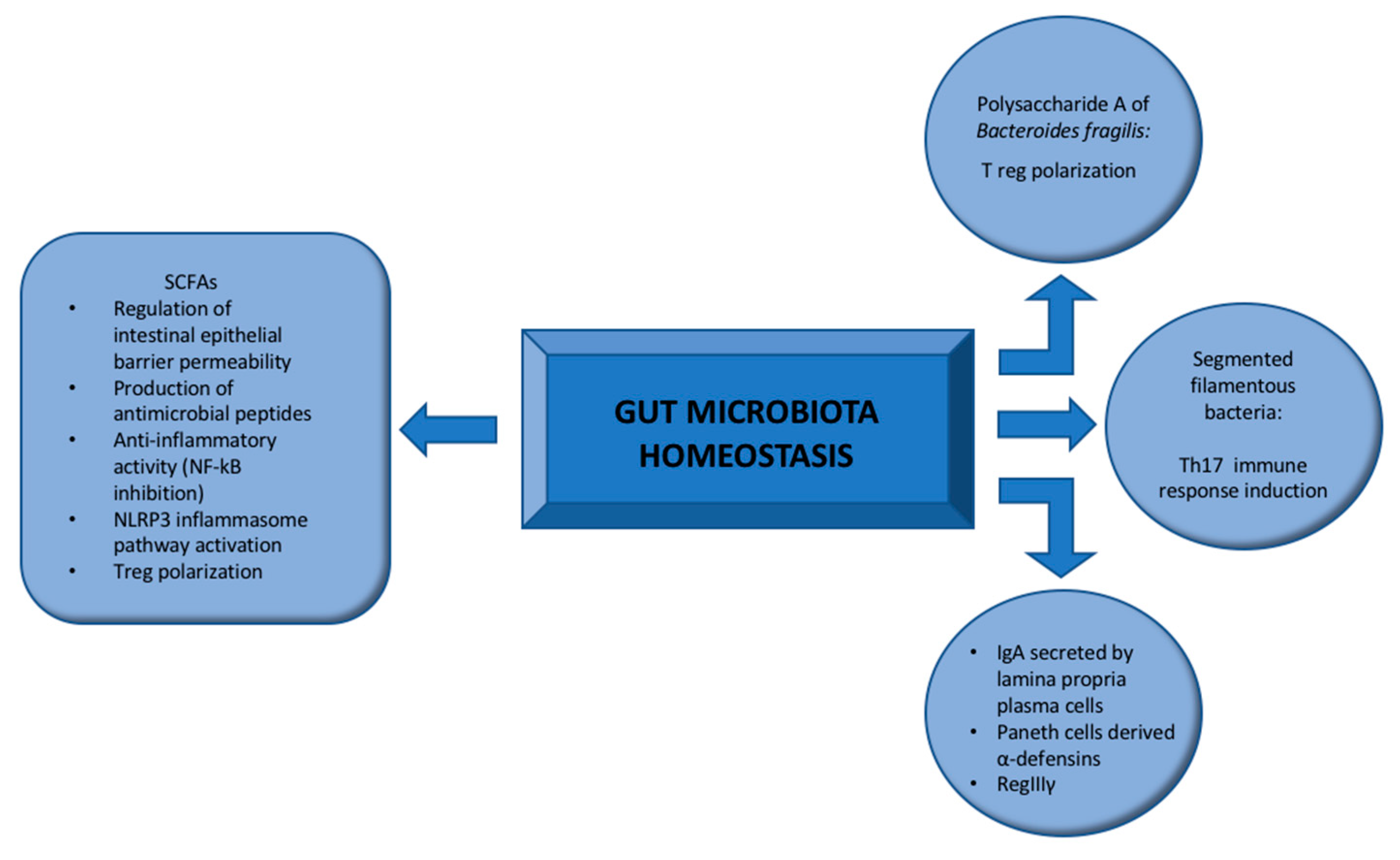 Ijms 23 06532 g001 Ijms 23 06532 g001