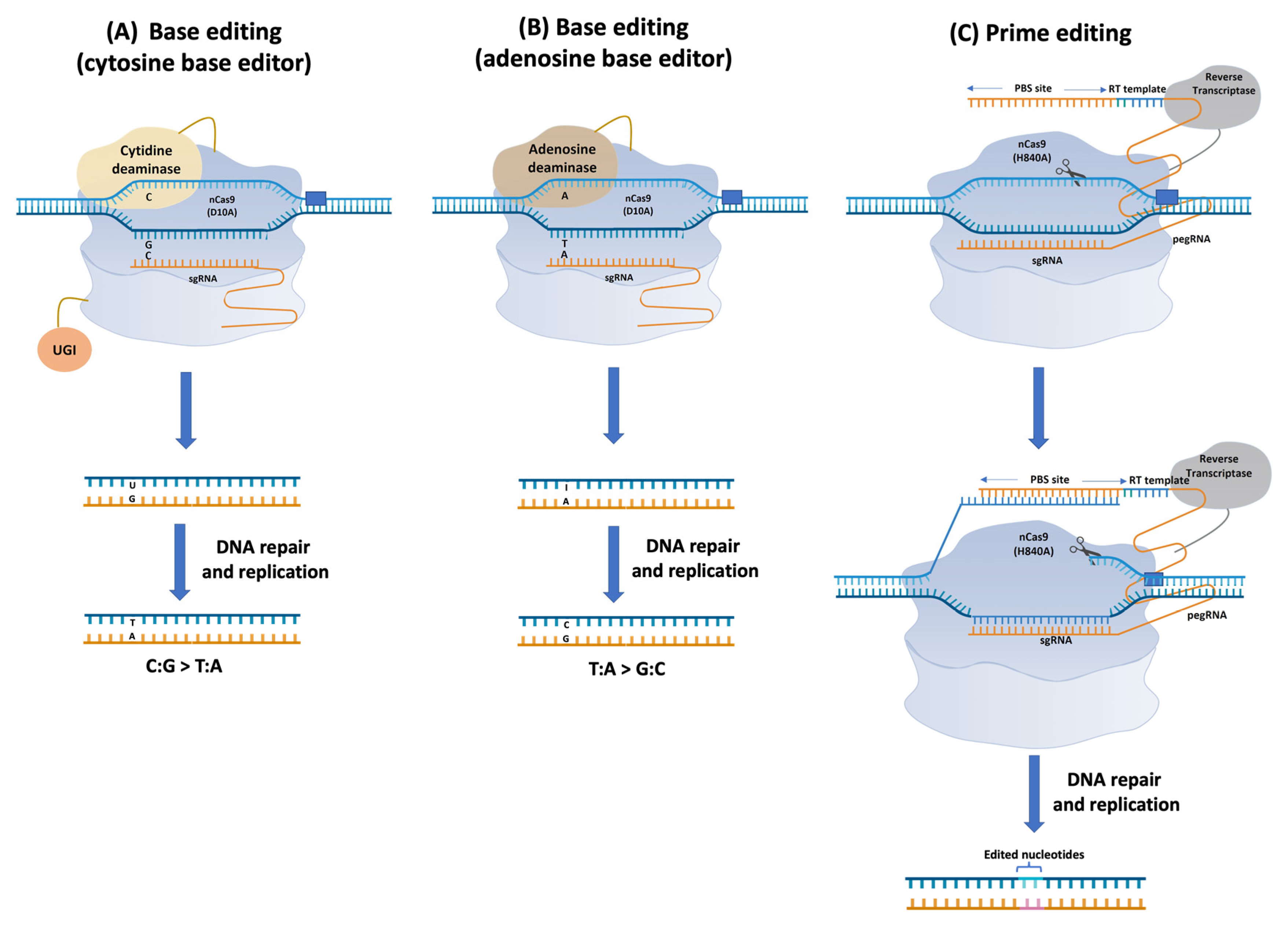 Ijms 23 06565 g002 Ijms 23 06565 g002