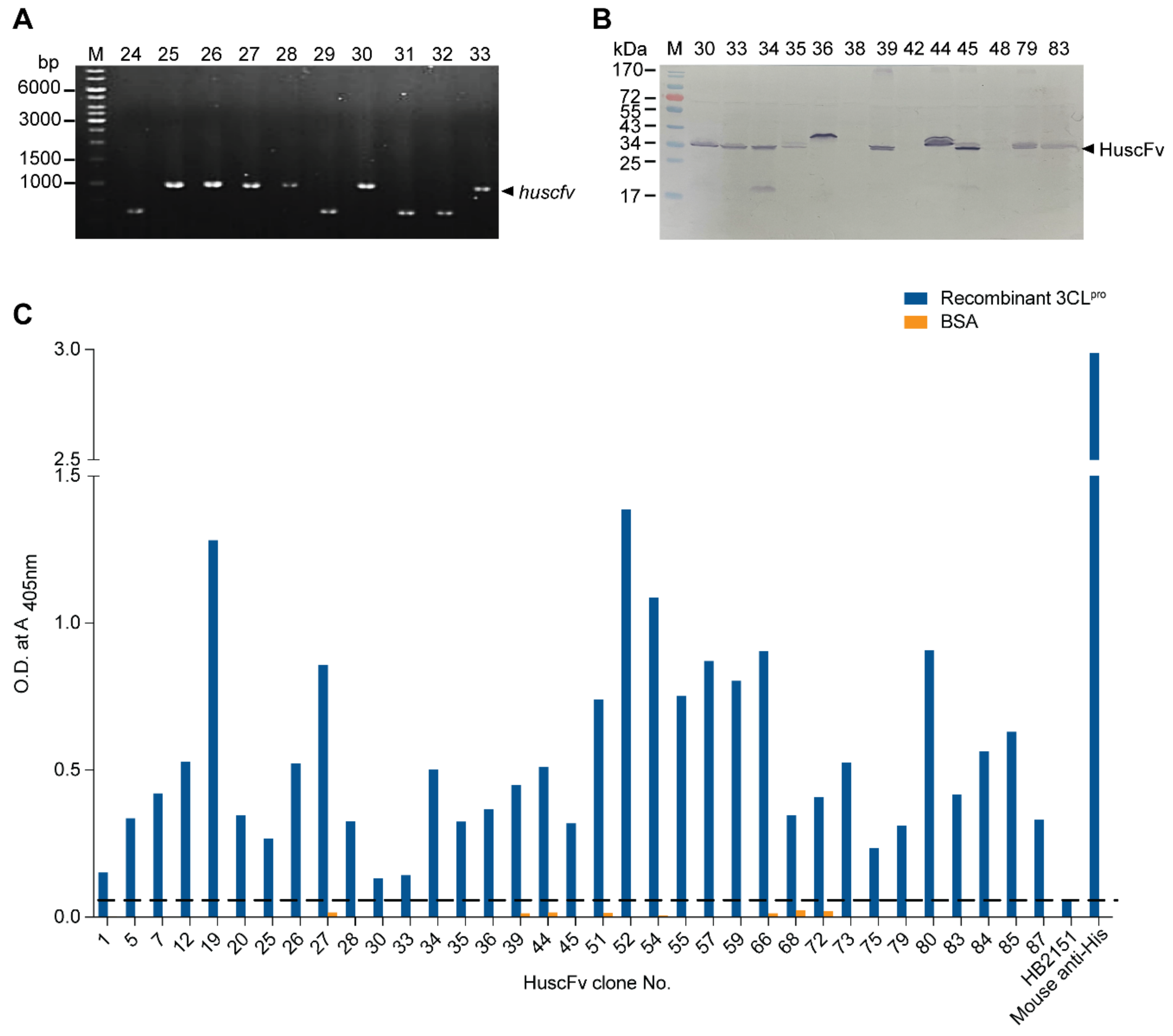 Ijms 23 06587 g003 Ijms 23 06587 g003