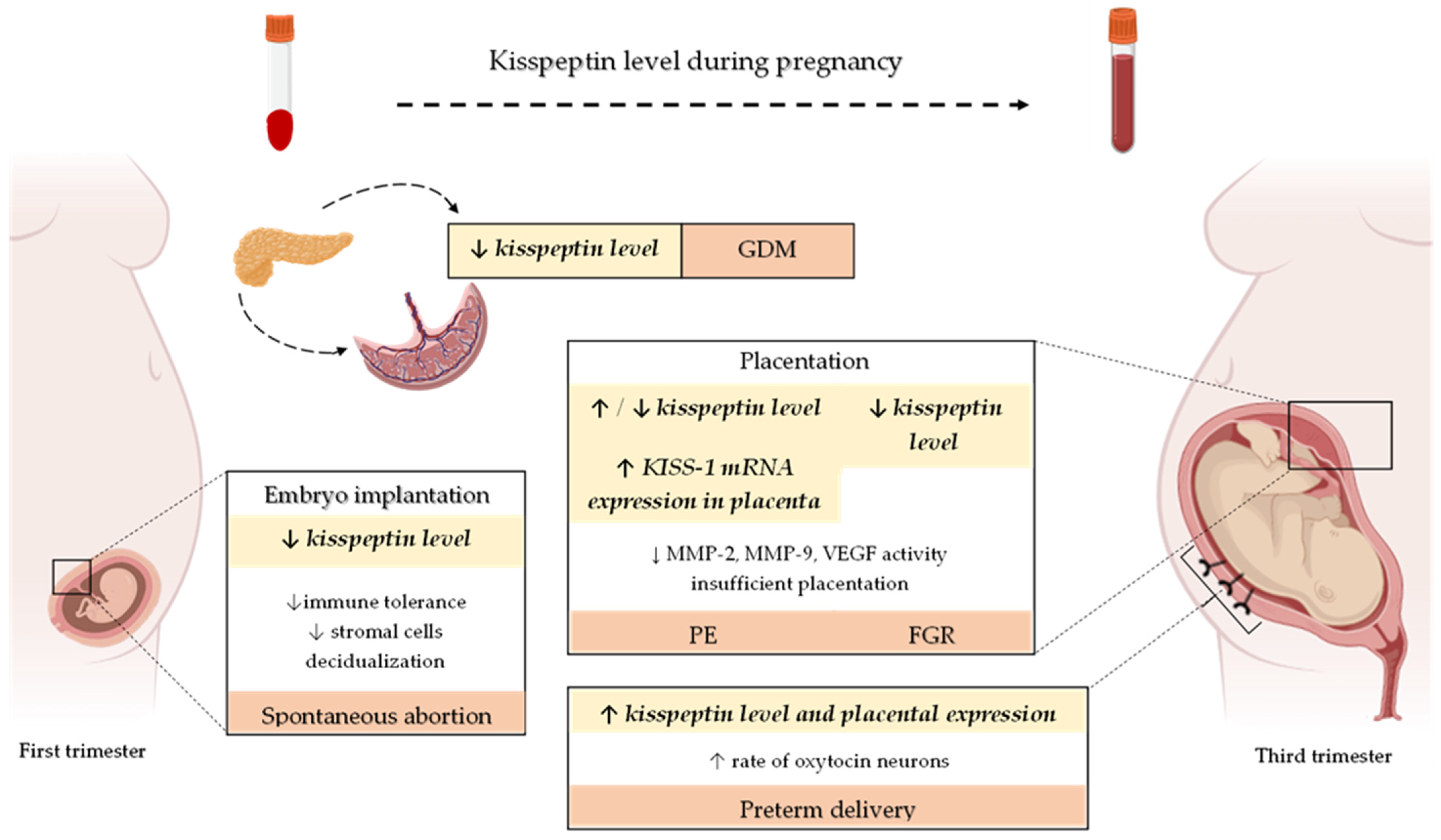 Ijms 23 06611 g002 Ijms 23 06611 g002