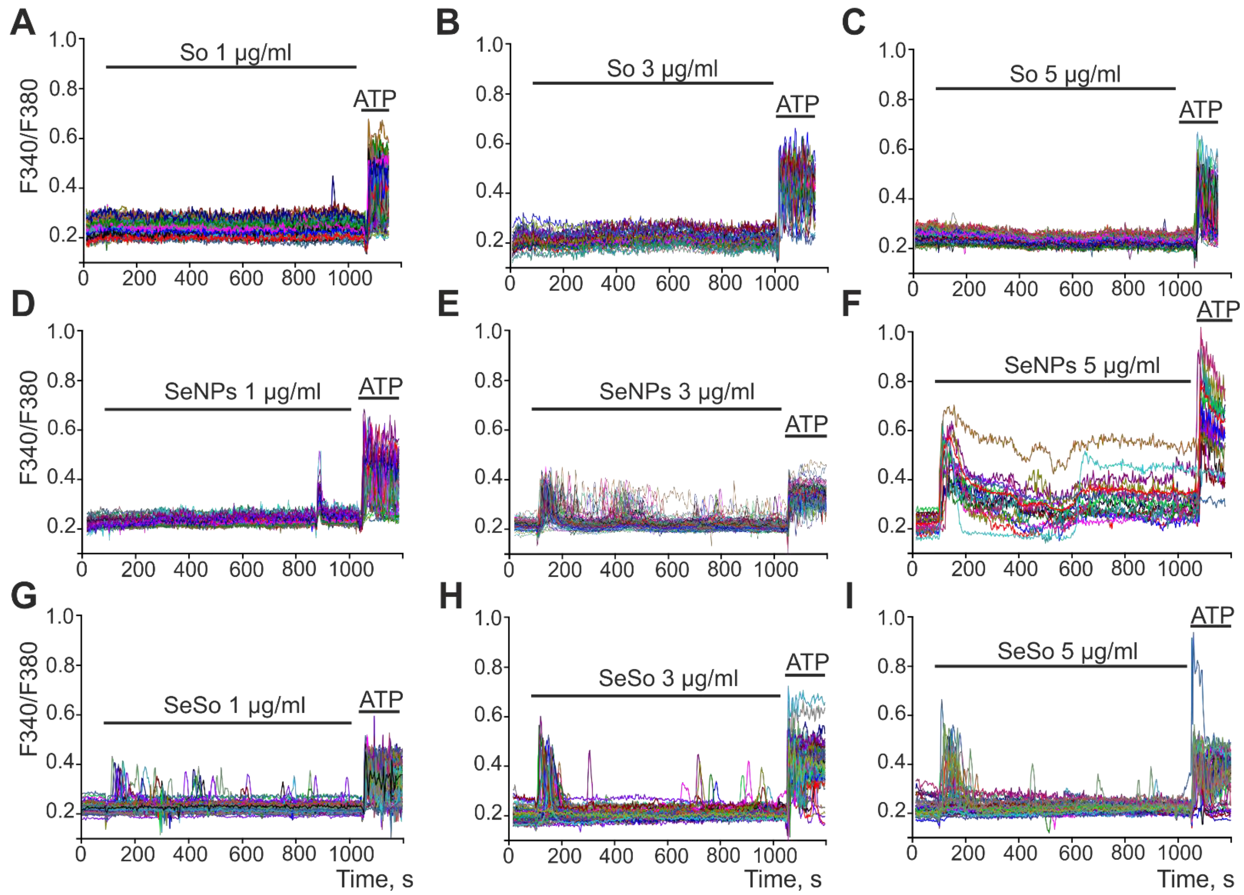 Ijms 23 06641 g005 Ijms 23 06641 g005