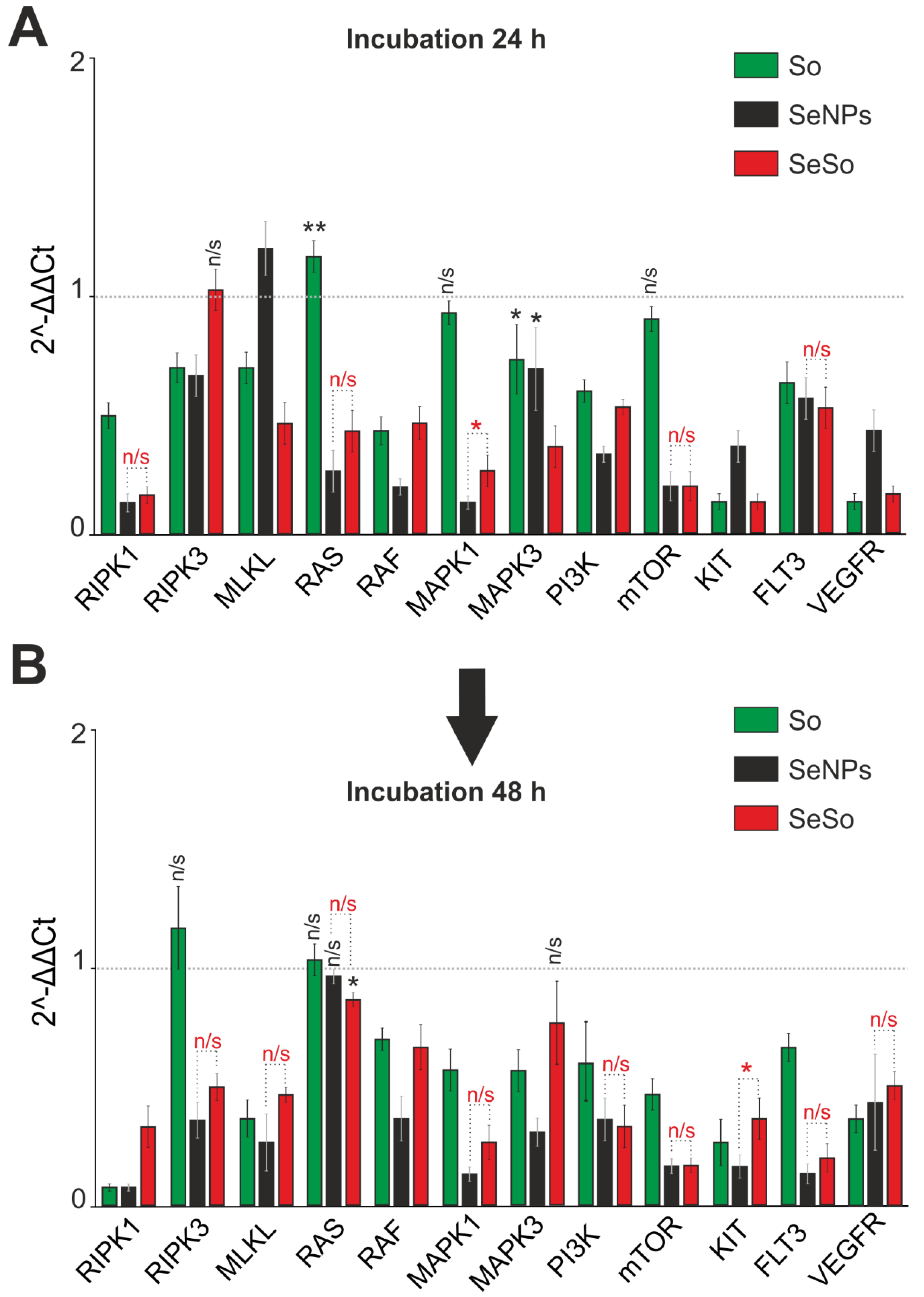 Ijms 23 06641 g007 Ijms 23 06641 g007