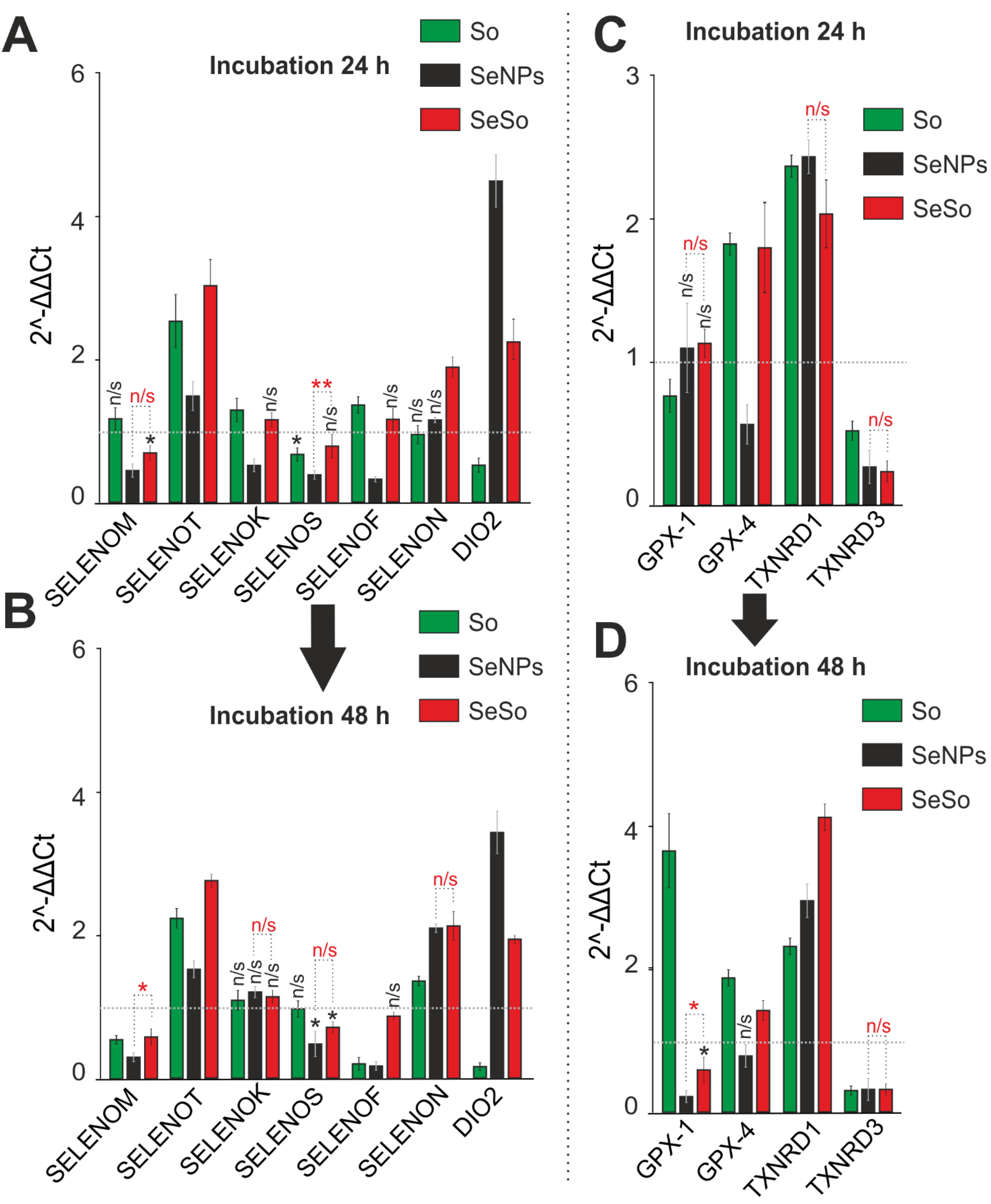Ijms 23 06641 g008 Ijms 23 06641 g008