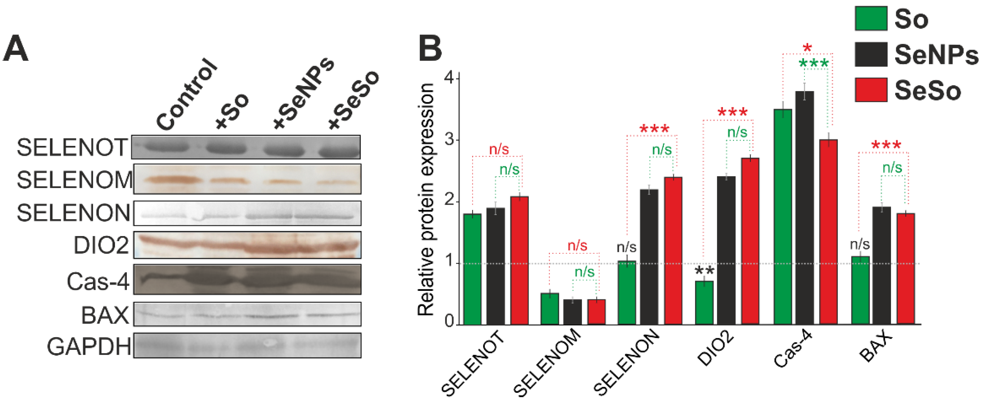 Ijms 23 06641 g009 Ijms 23 06641 g009