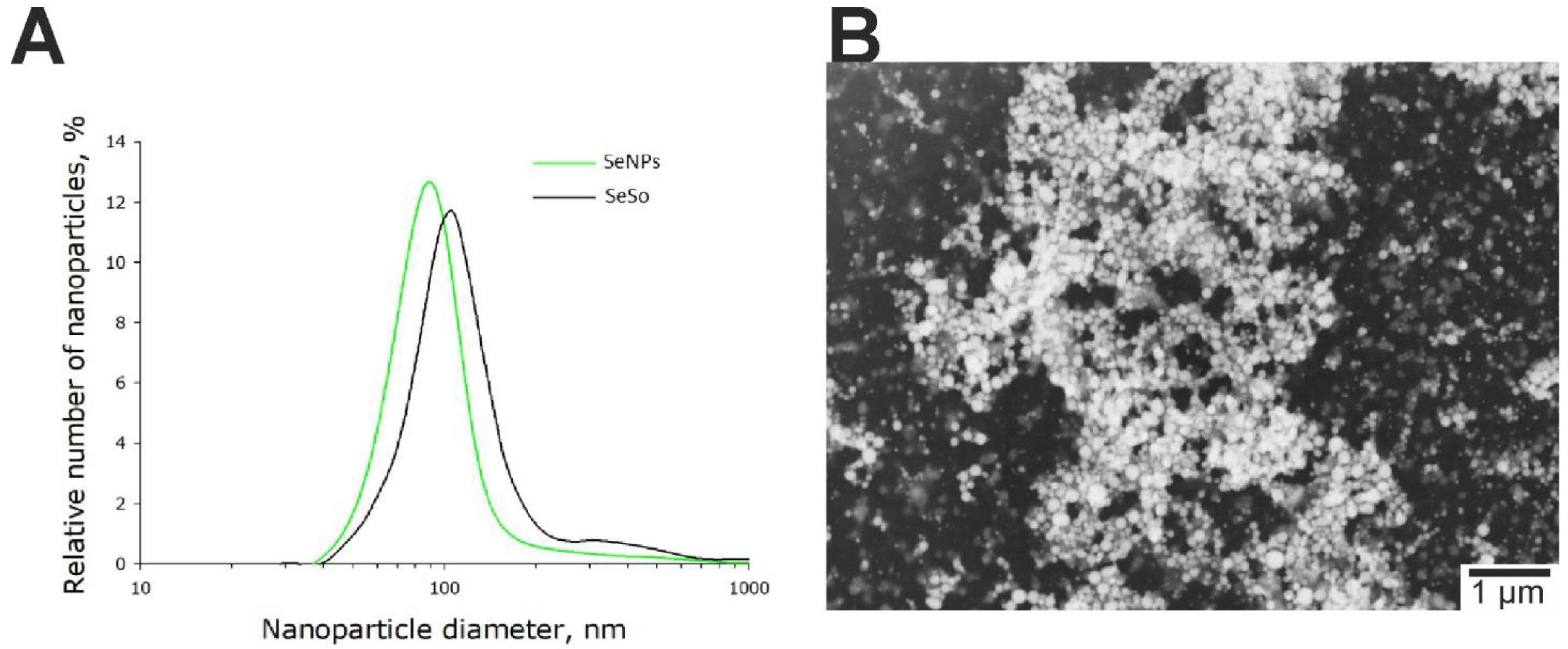 Ijms 23 06641 g010 Ijms 23 06641 g010