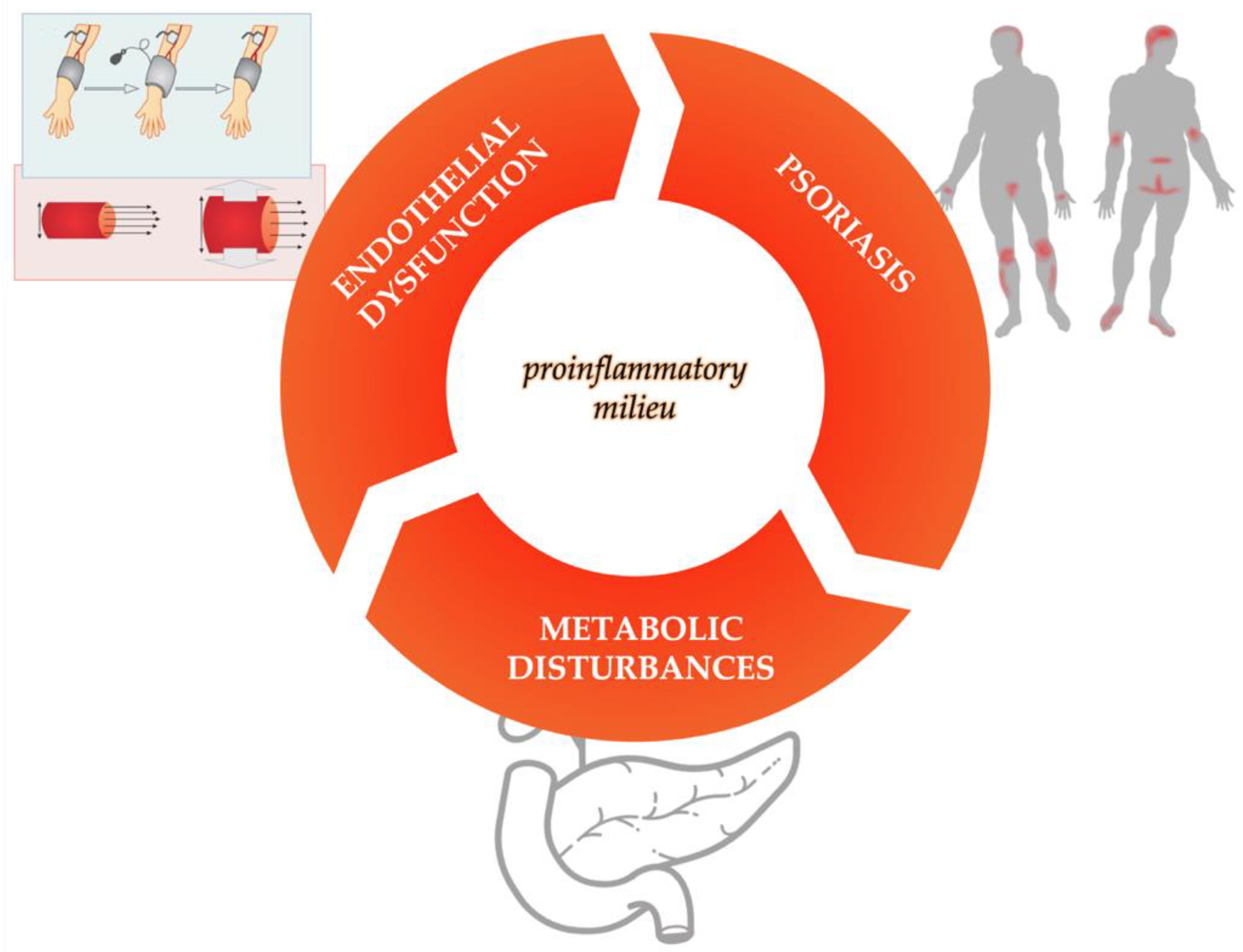 Ijms 23 06648 g002 Ijms 23 06648 g002