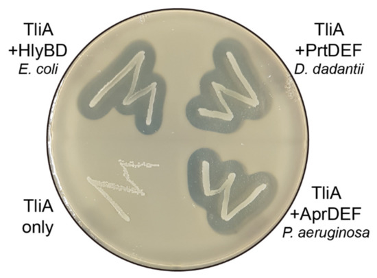Ijms 23 06700 g0a4 550