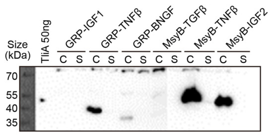 Ijms 23 06700 g0a5 550