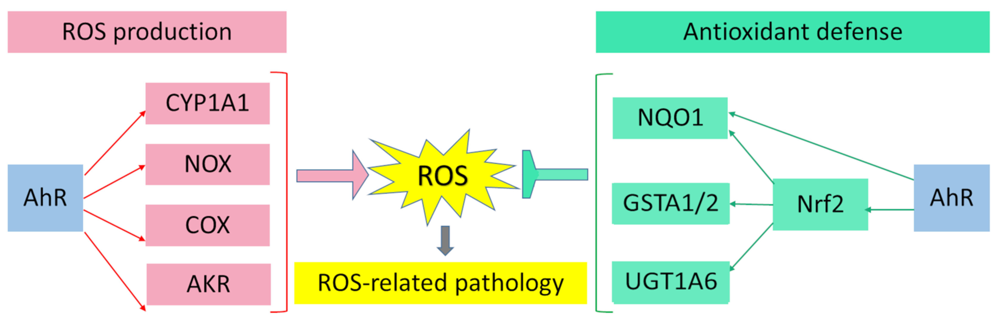 Ijms 23 06719 g004 Ijms 23 06719 g004