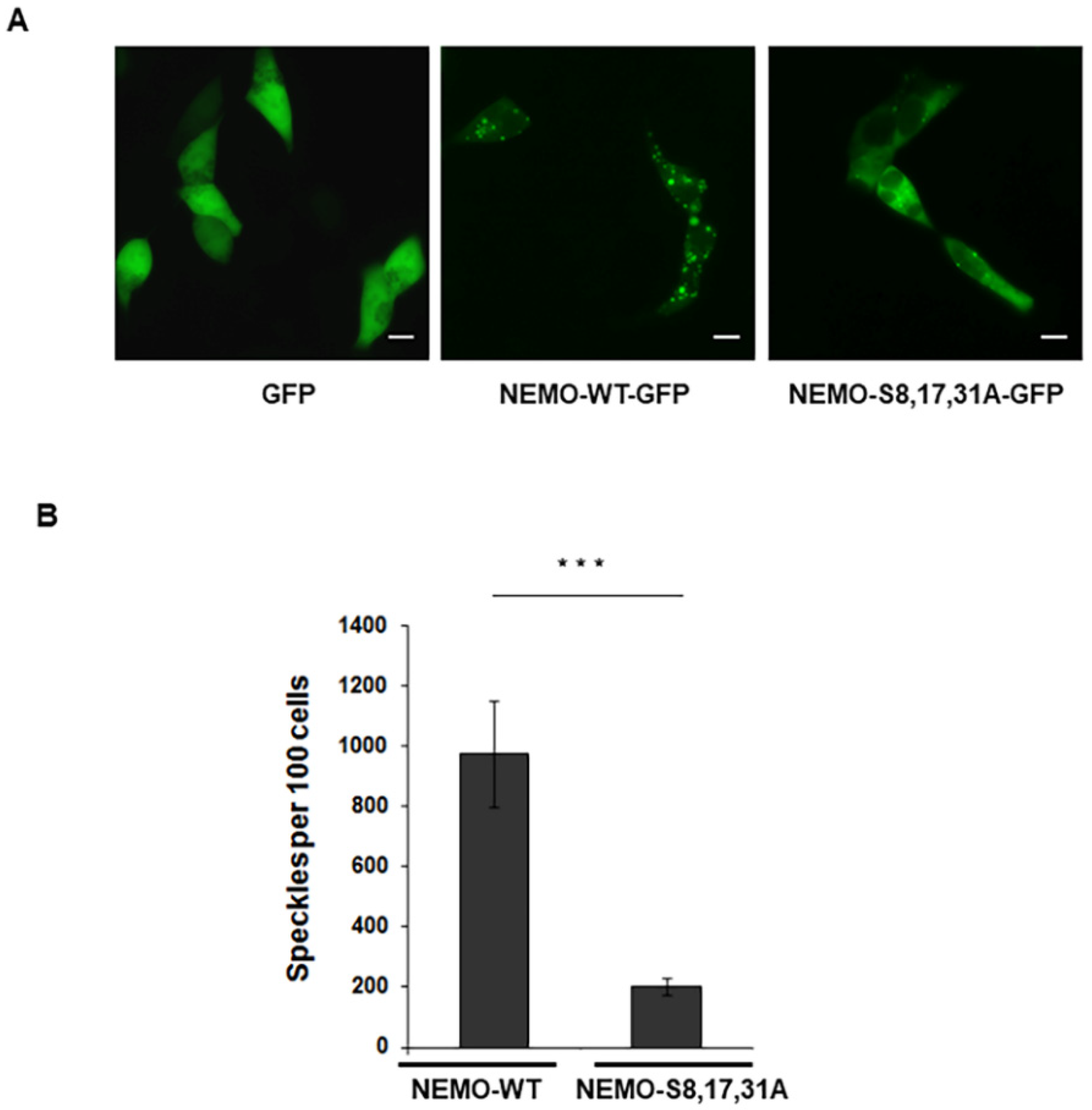Ijms 23 06778 g001 Ijms 23 06778 g001