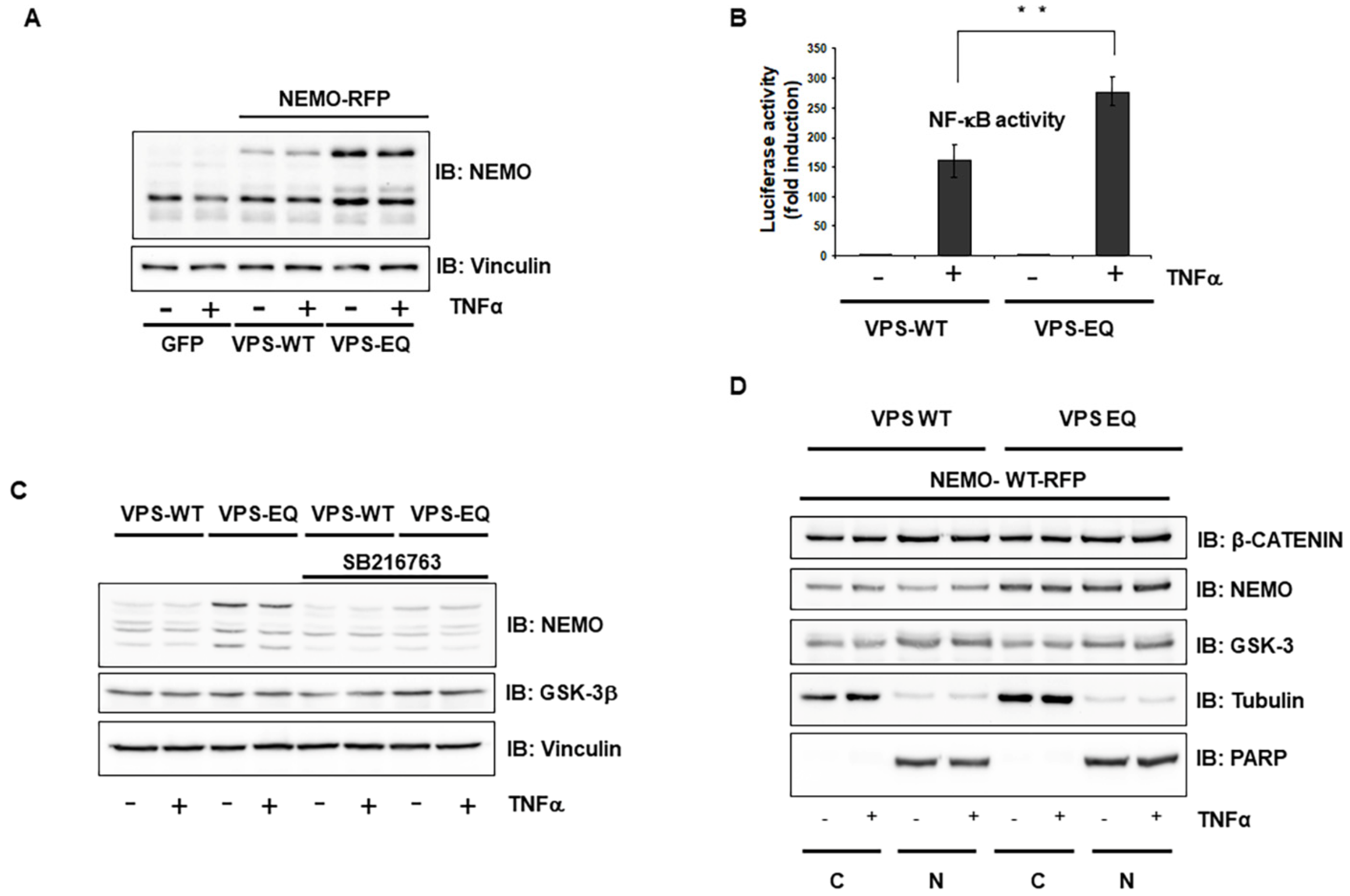 Ijms 23 06778 g005 Ijms 23 06778 g005