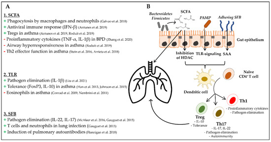Ijms 23 06791 g001 550