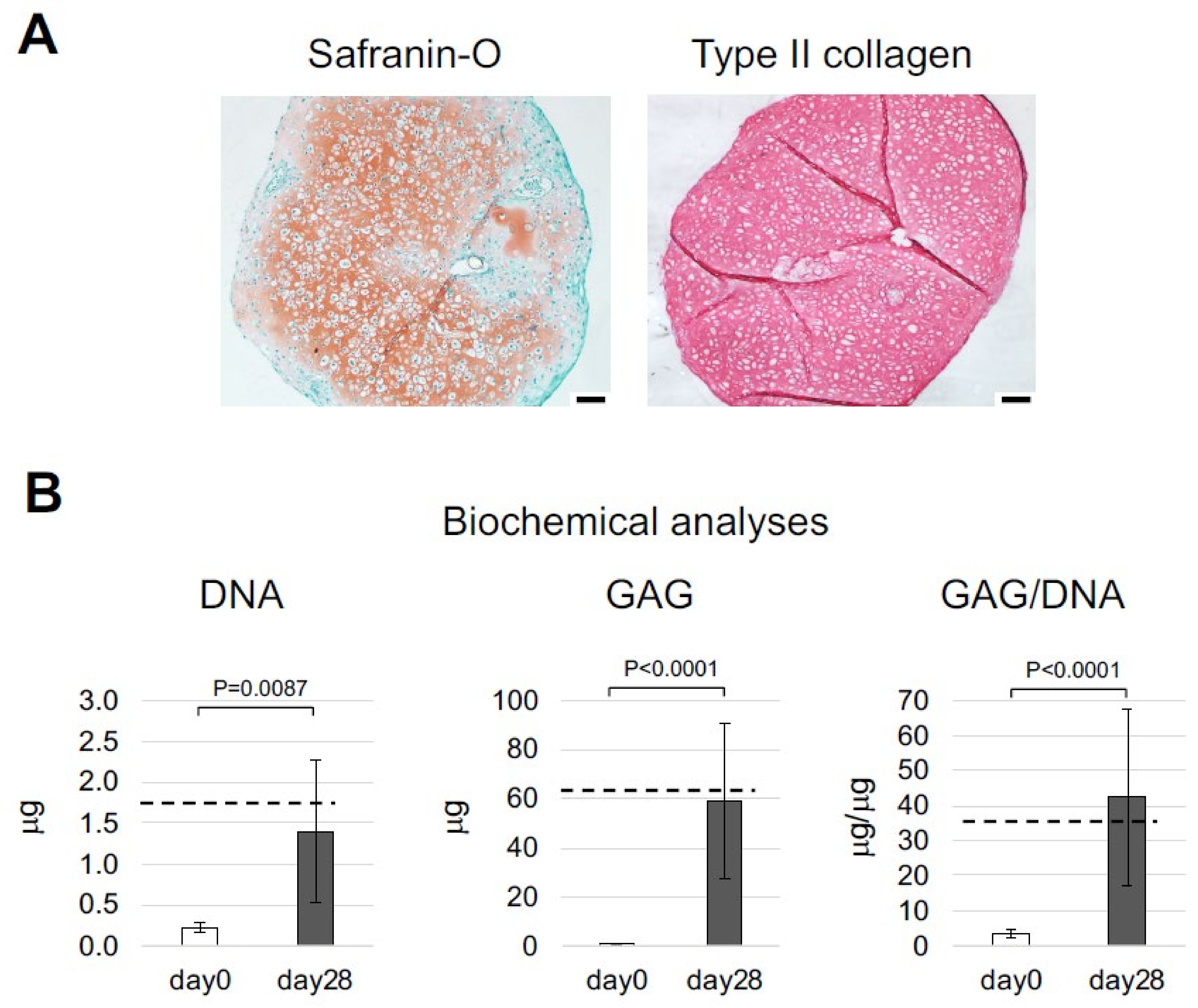 Ijms 23 06900 g002 Ijms 23 06900 g002