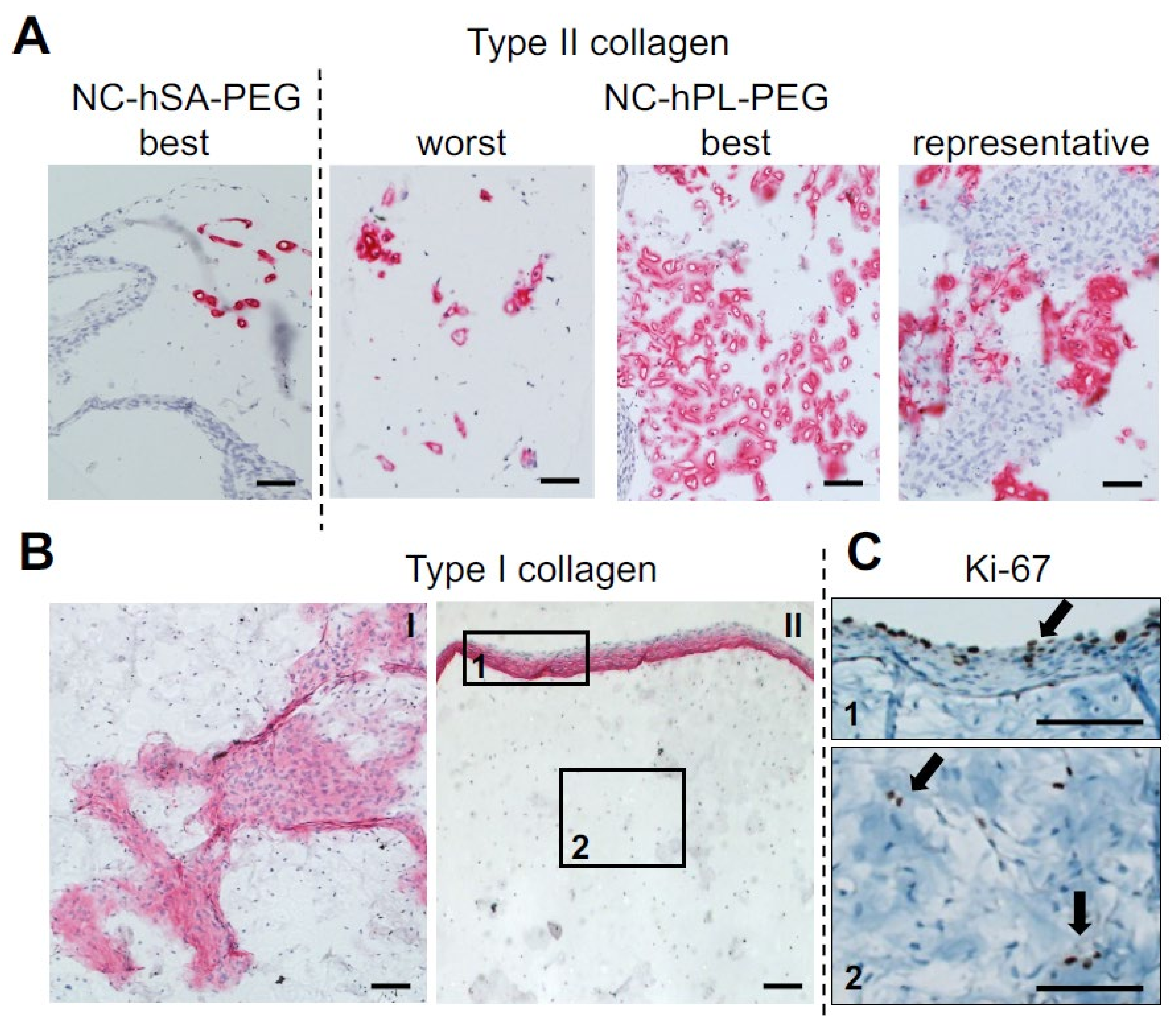 Ijms 23 06900 g004 Ijms 23 06900 g004