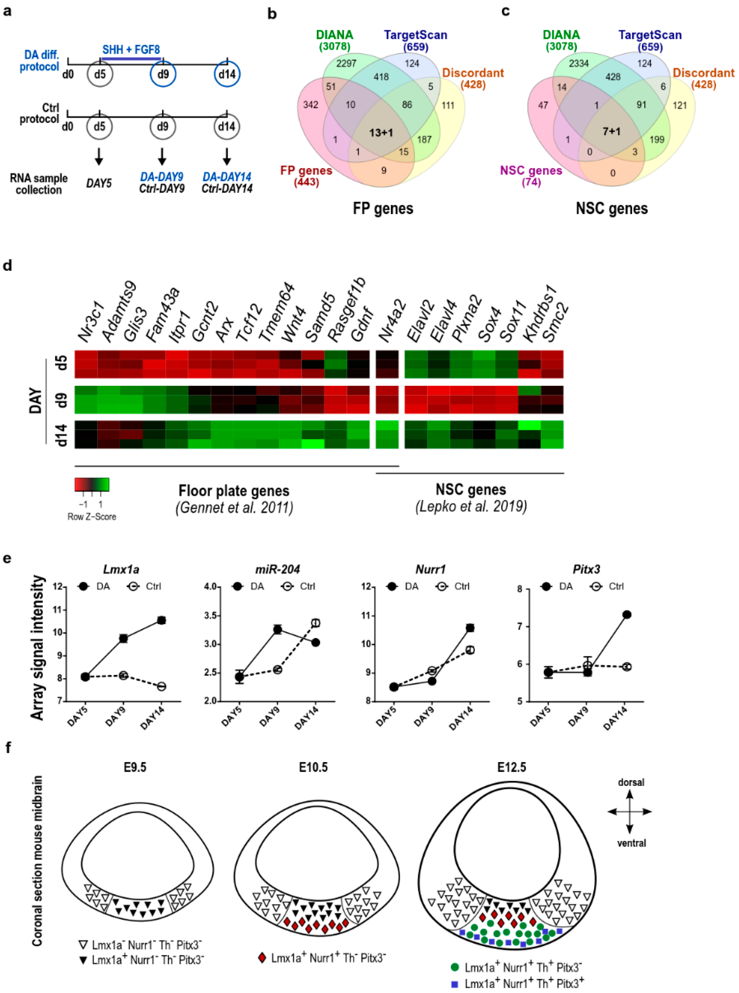 Ijms 23 06961 g004 Ijms 23 06961 g004
