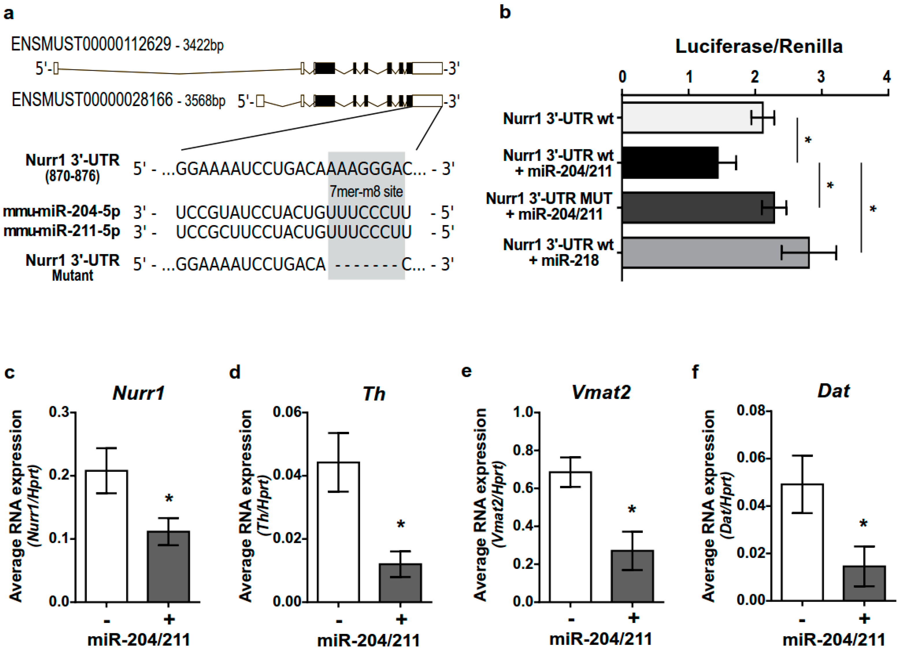 Ijms 23 06961 g005 Ijms 23 06961 g005