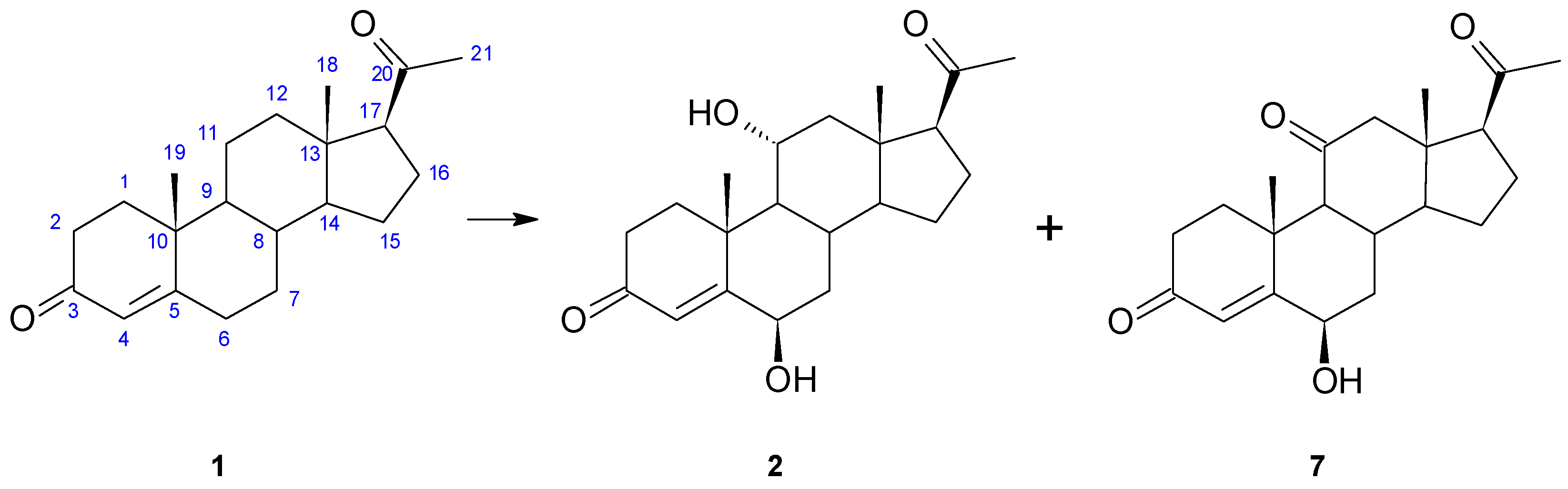Ijms 23 07015 g001 Ijms 23 07015 g001