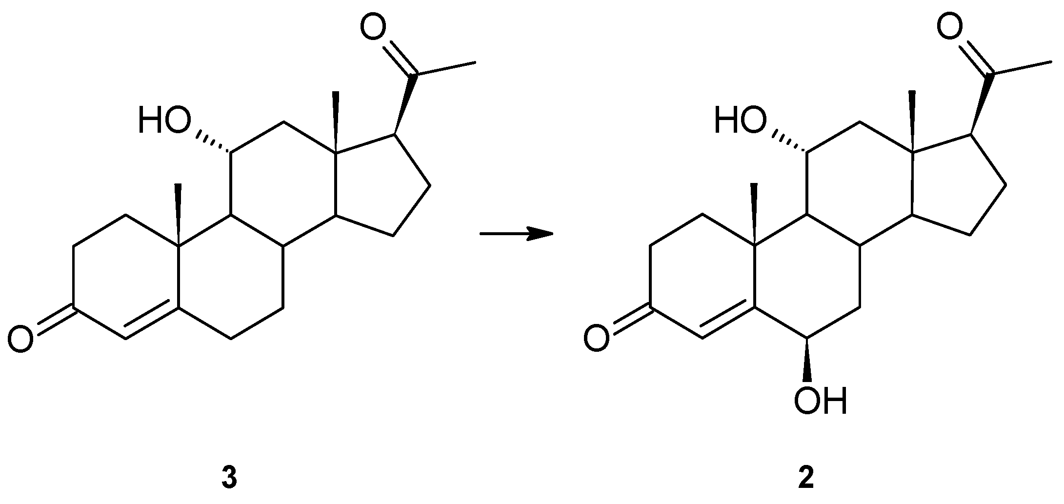 Ijms 23 07015 g002 Ijms 23 07015 g002