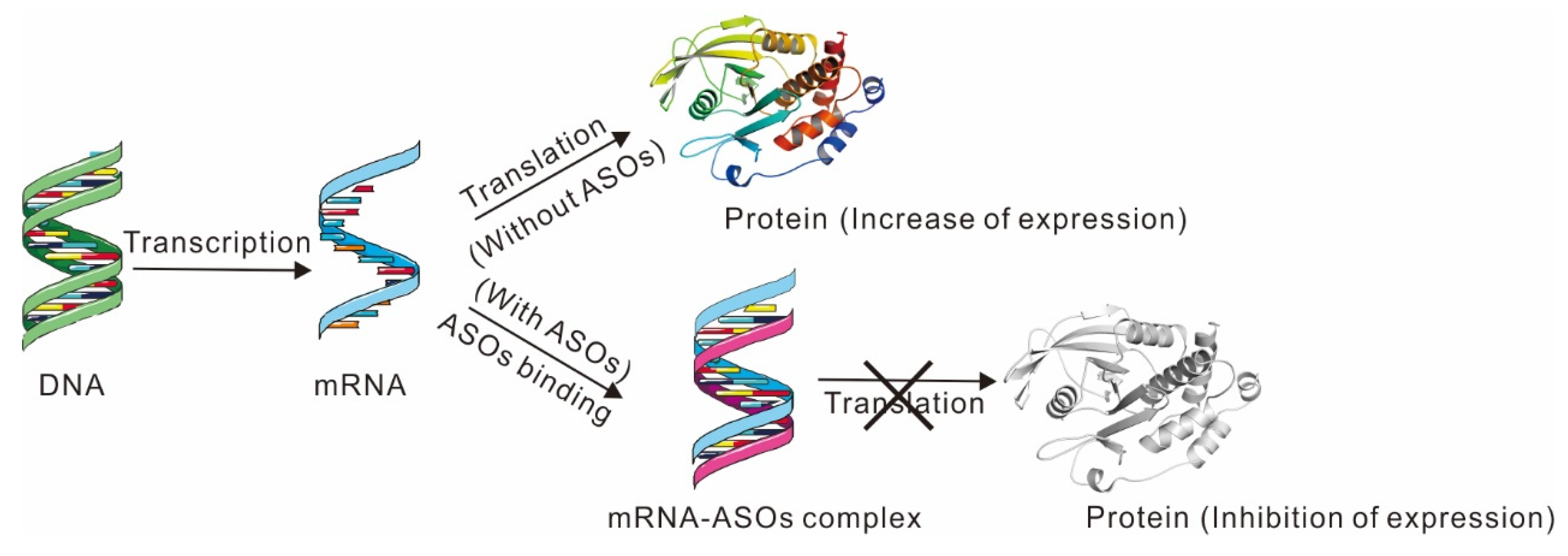 Ijms 23 07027 g005 Ijms 23 07027 g005