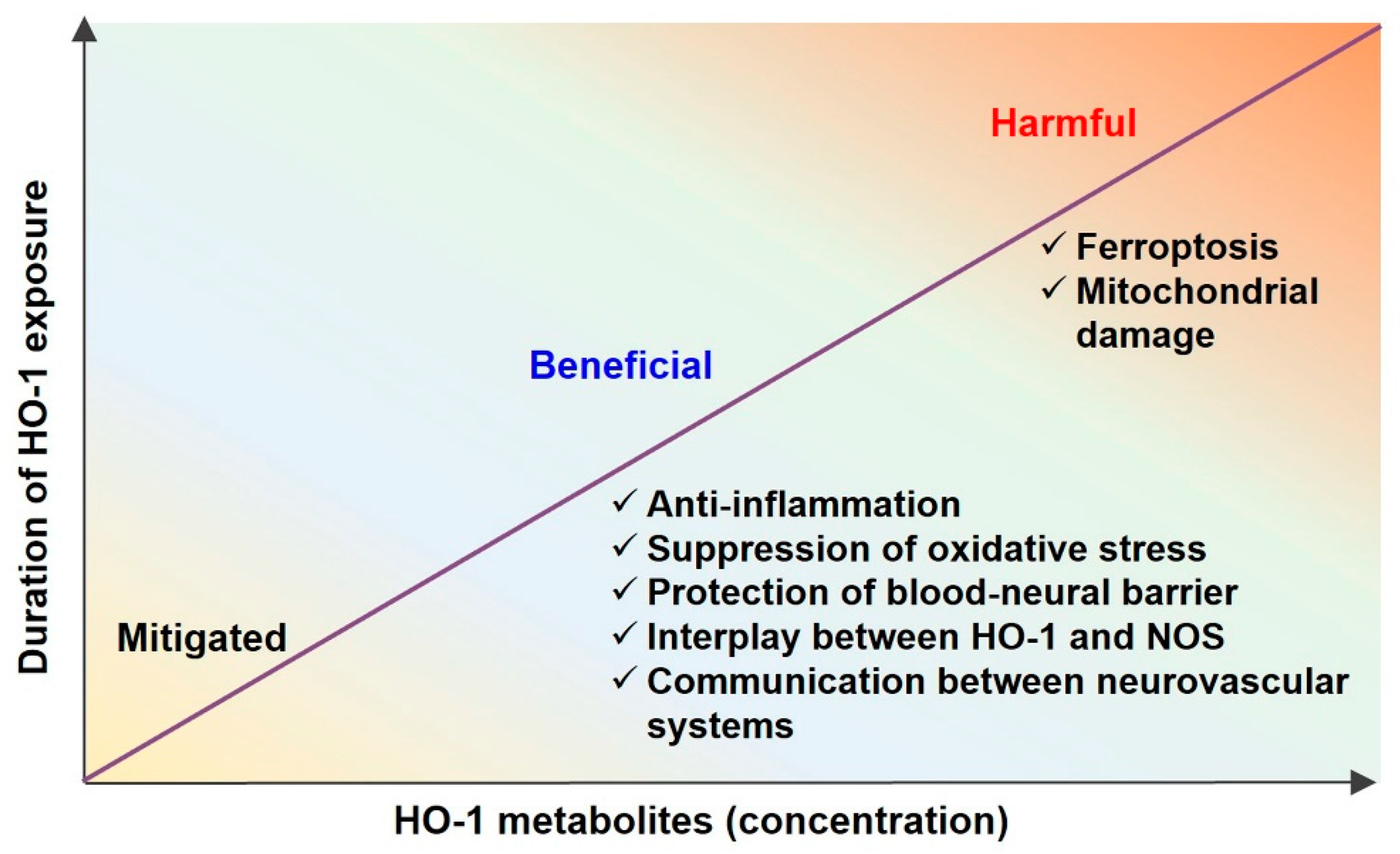 Ijms 23 07041 g002 Ijms 23 07041 g002