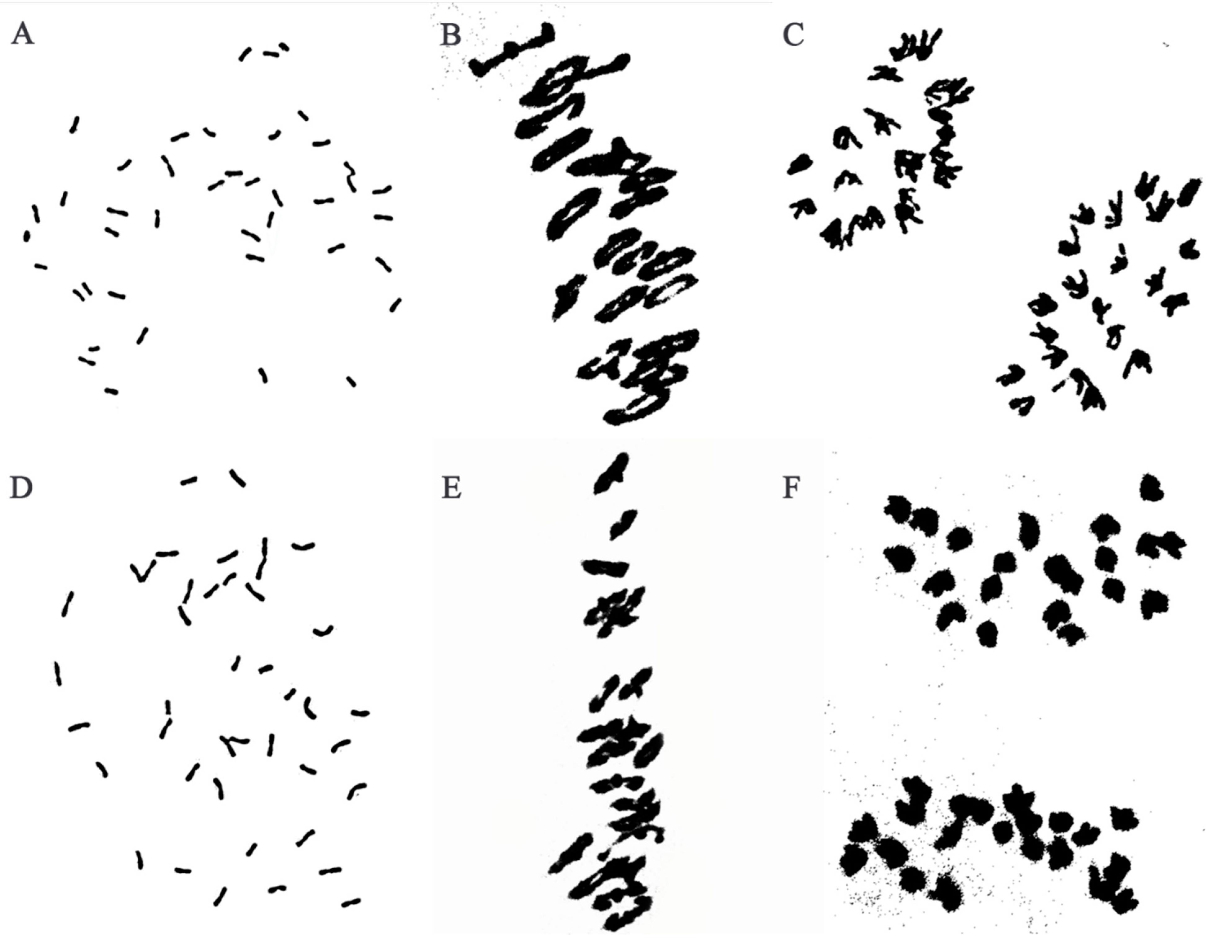 Ijms 23 07056 g001 Ijms 23 07056 g001