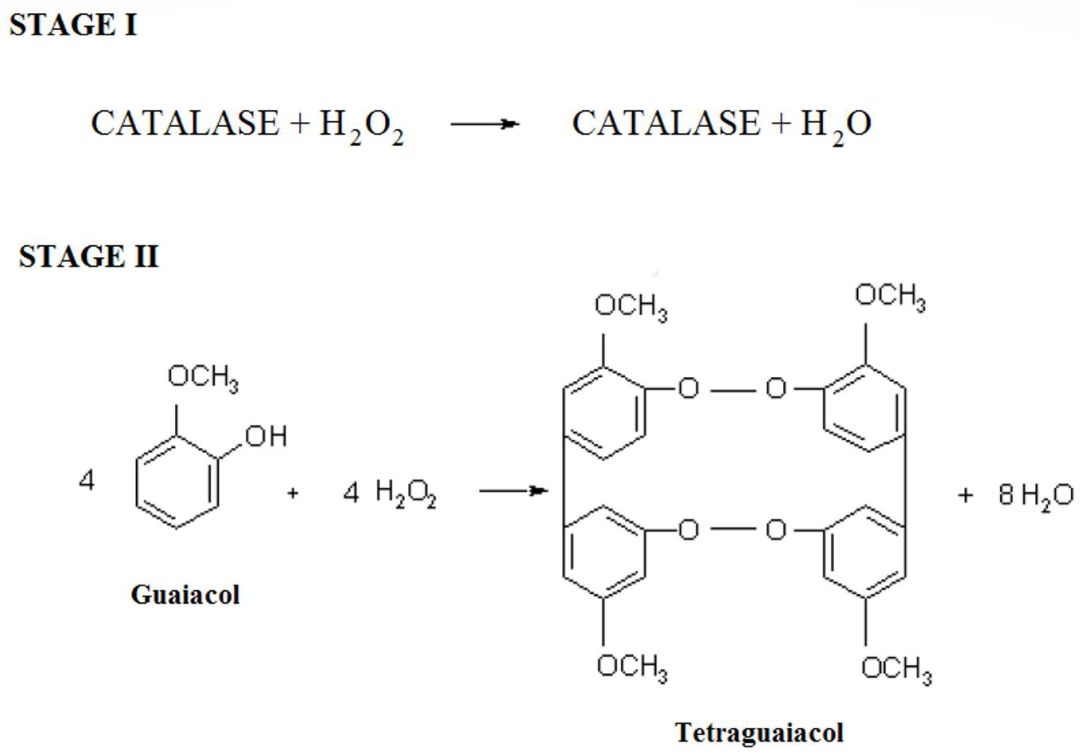 Ijms 23 07123 g008 Ijms 23 07123 g008