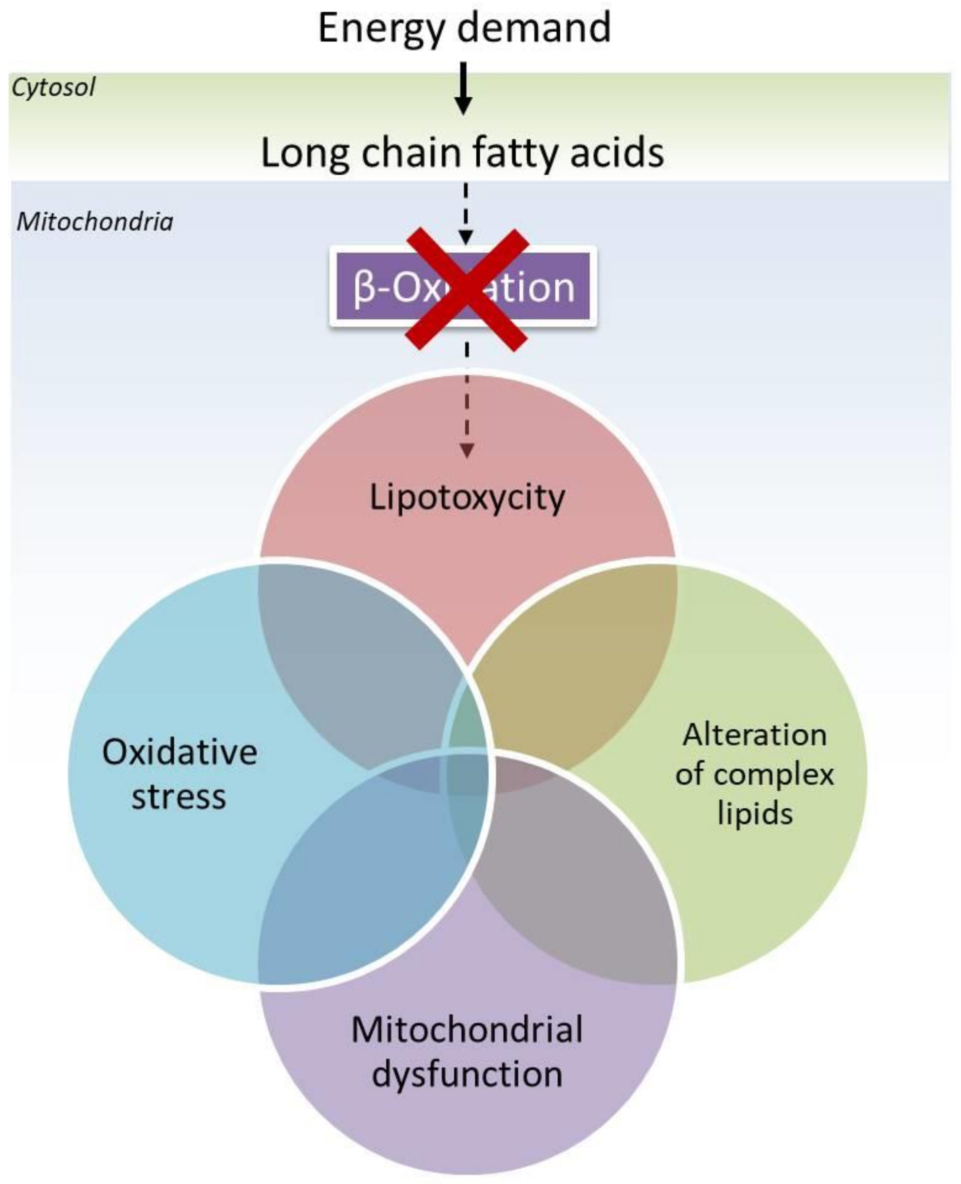 Ijms 23 07144 g001 Ijms 23 07144 g001