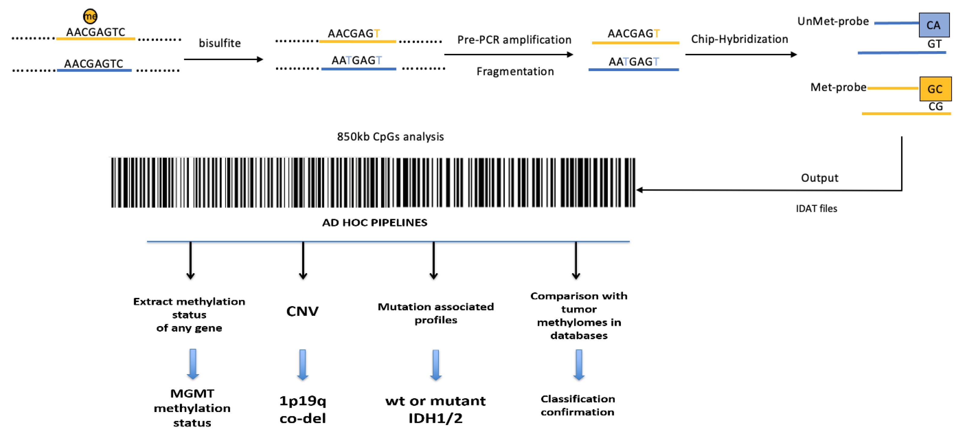 Ijms 23 07148 g003 Ijms 23 07148 g003