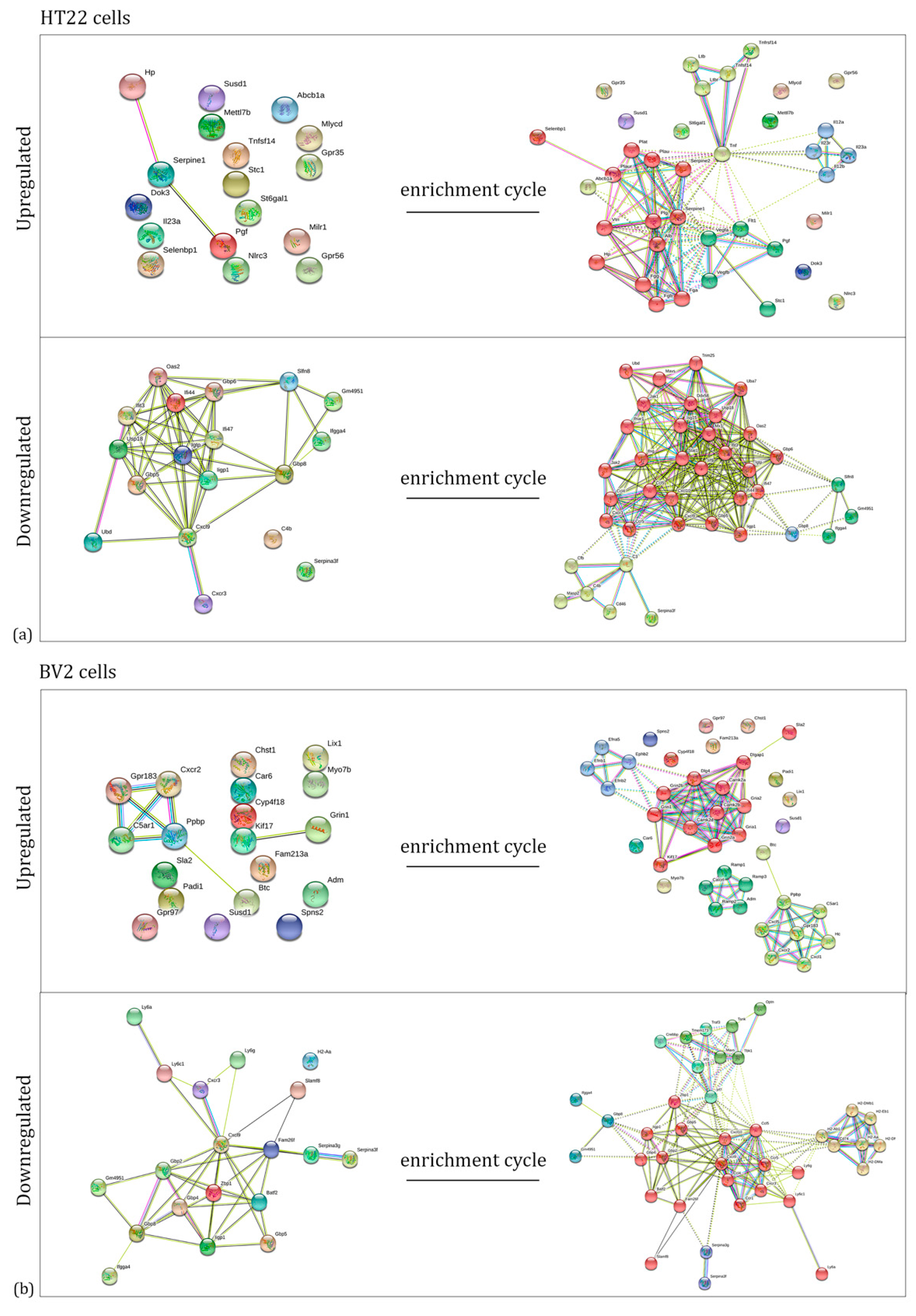 Ijms 23 07175 g003 Ijms 23 07175 g003