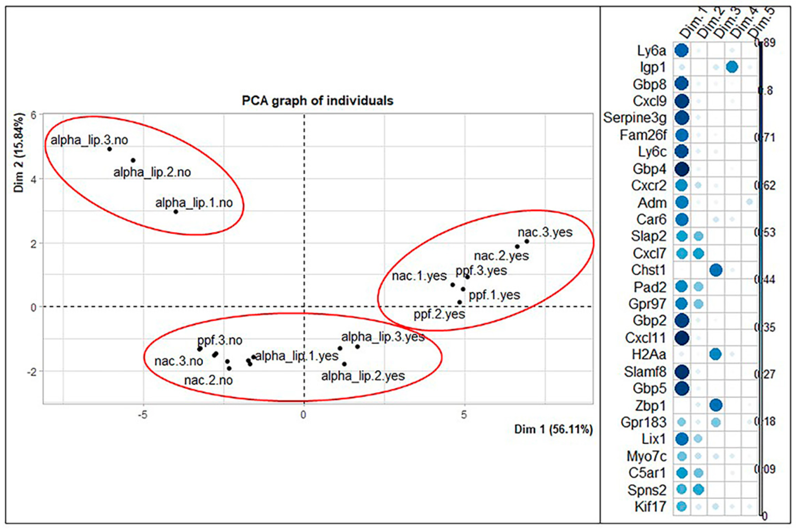 Ijms 23 07175 g008 Ijms 23 07175 g008