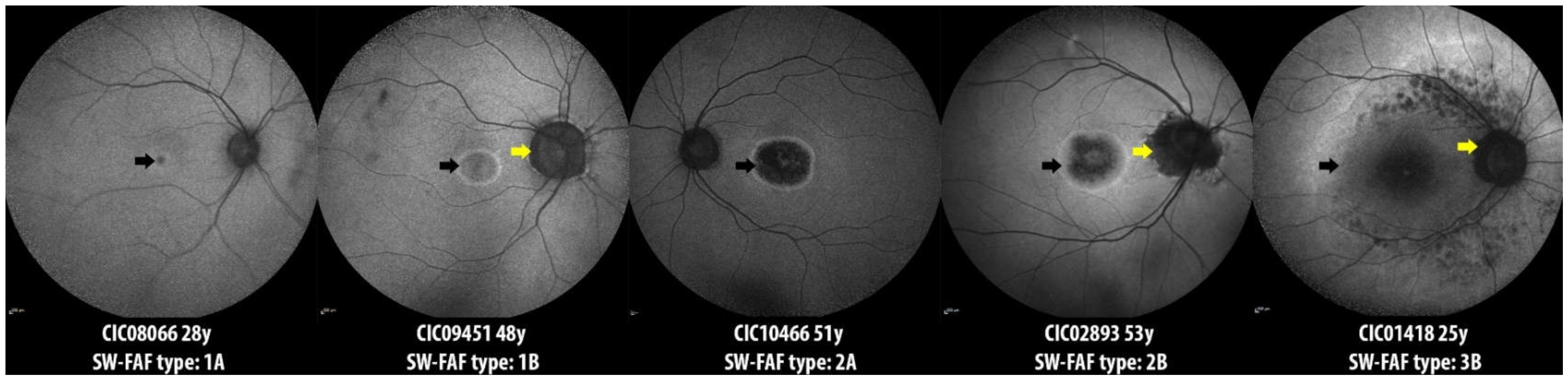 Ijms 23 07189 g005 Ijms 23 07189 g005