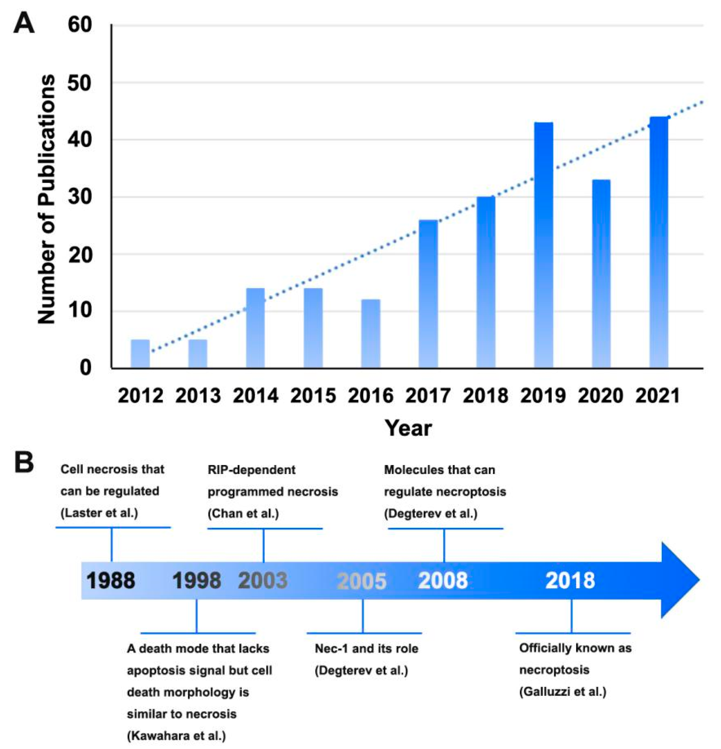 Ijms 23 07191 g003 Ijms 23 07191 g003