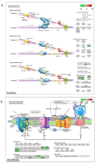 Ijms 23 07230 g0a1a 550