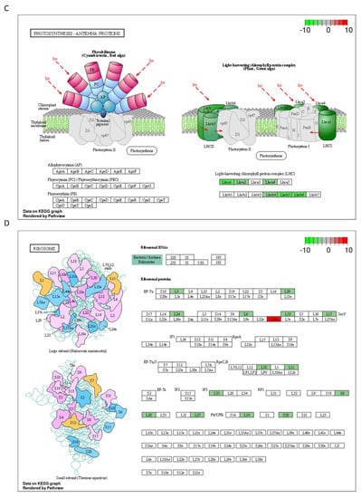 Ijms 23 07230 g0a1b 550