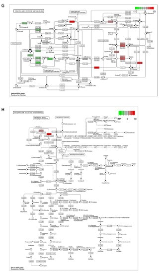 Ijms 23 07230 g0a1d 550