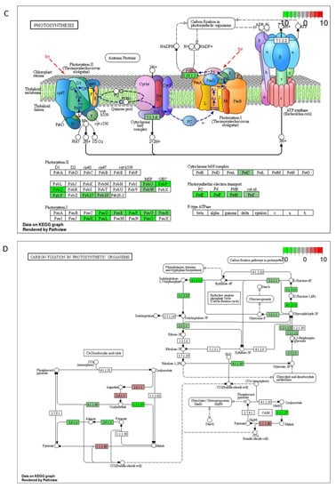 Ijms 23 07230 g0a2b 550