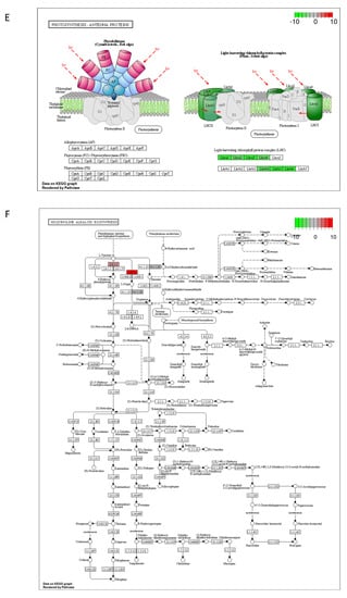 Ijms 23 07230 g0a2c 550