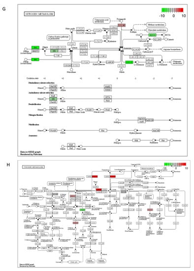 Ijms 23 07230 g0a2d 550