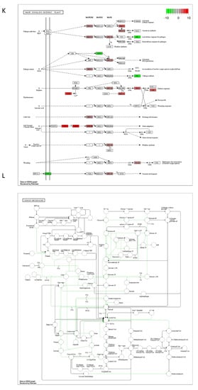 Ijms 23 07230 g0a2f 550