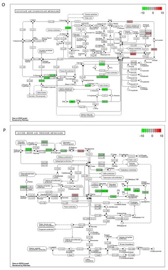 Ijms 23 07230 g0a2h 550