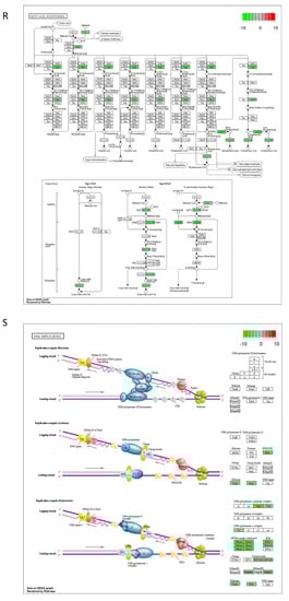 Ijms 23 07230 g0a2j 550