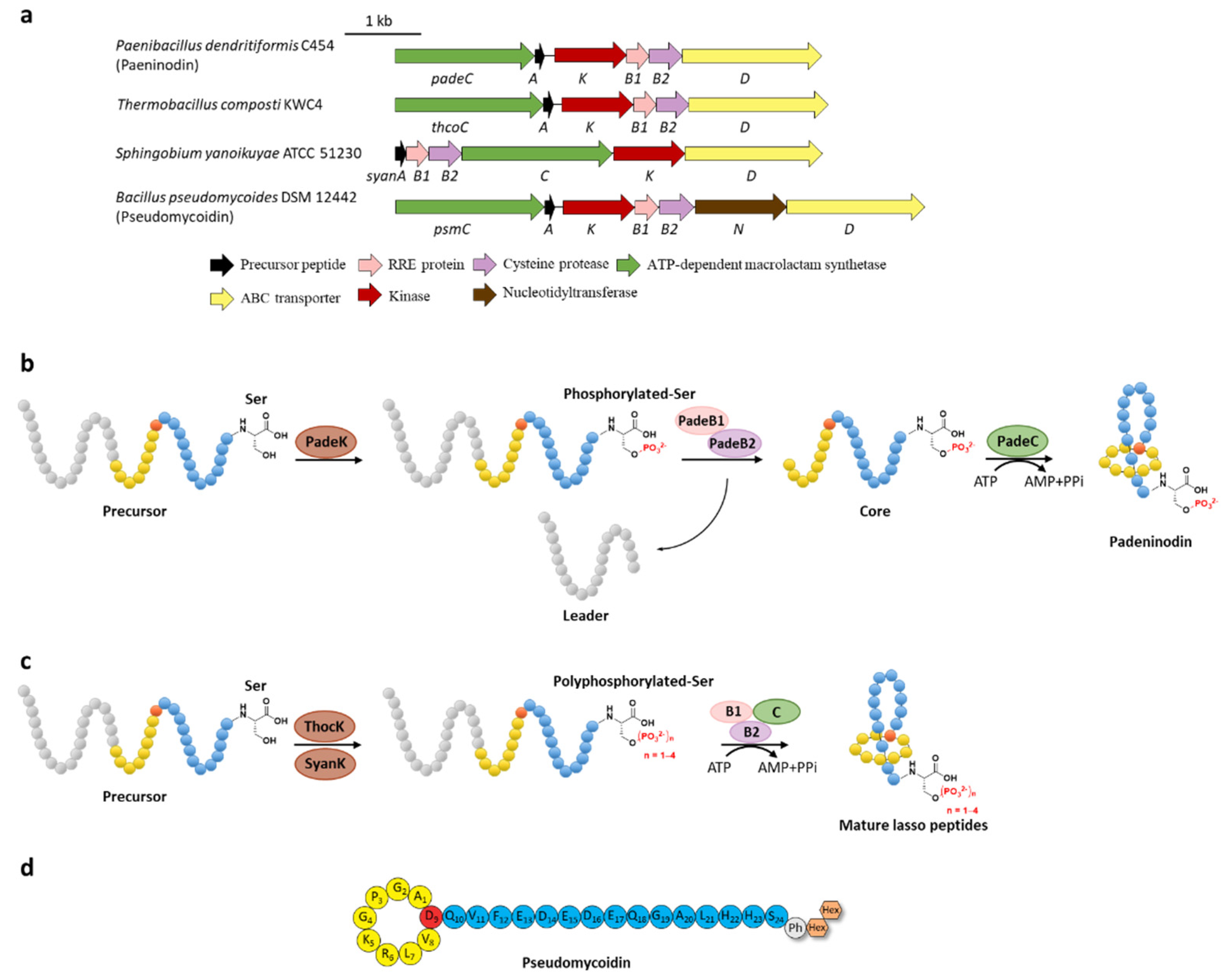 Ijms 23 07231 g003 Ijms 23 07231 g003