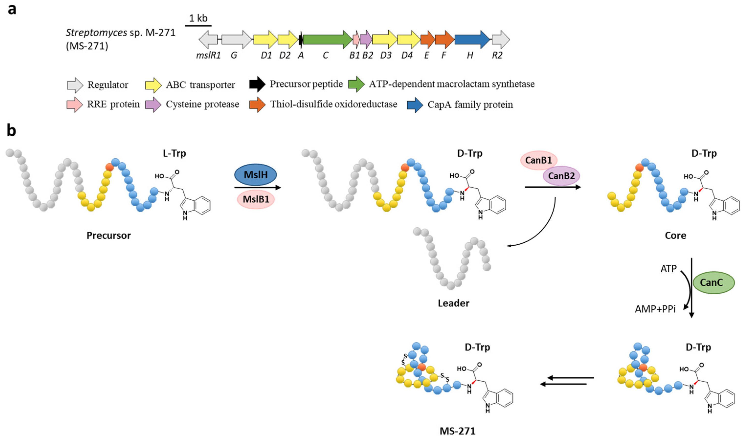 Ijms 23 07231 g007 Ijms 23 07231 g007