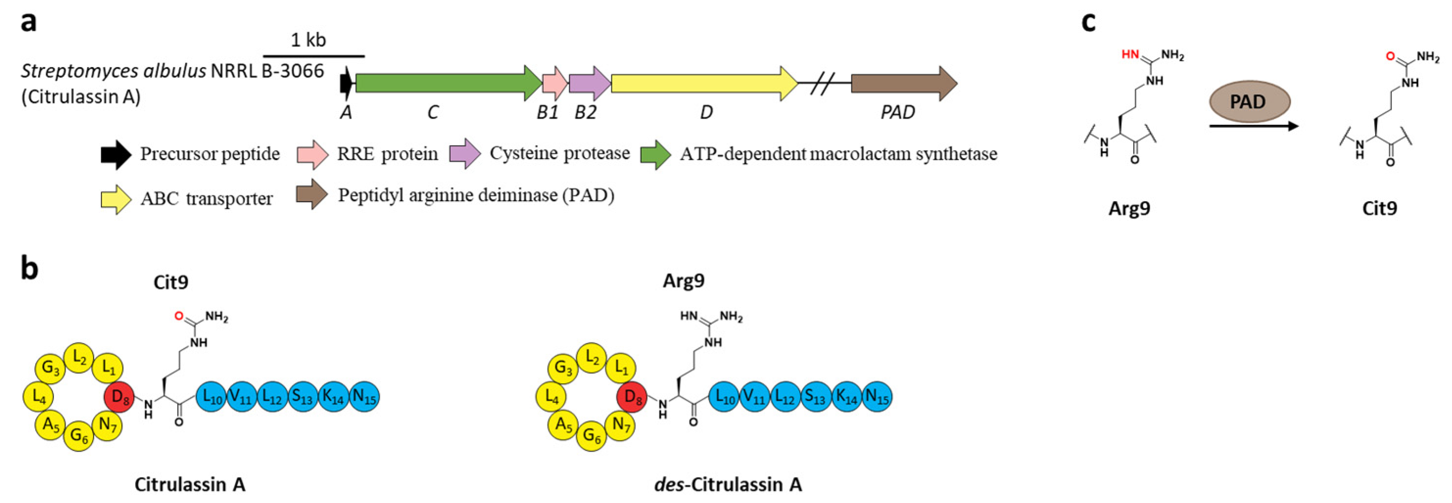 Ijms 23 07231 g008 Ijms 23 07231 g008