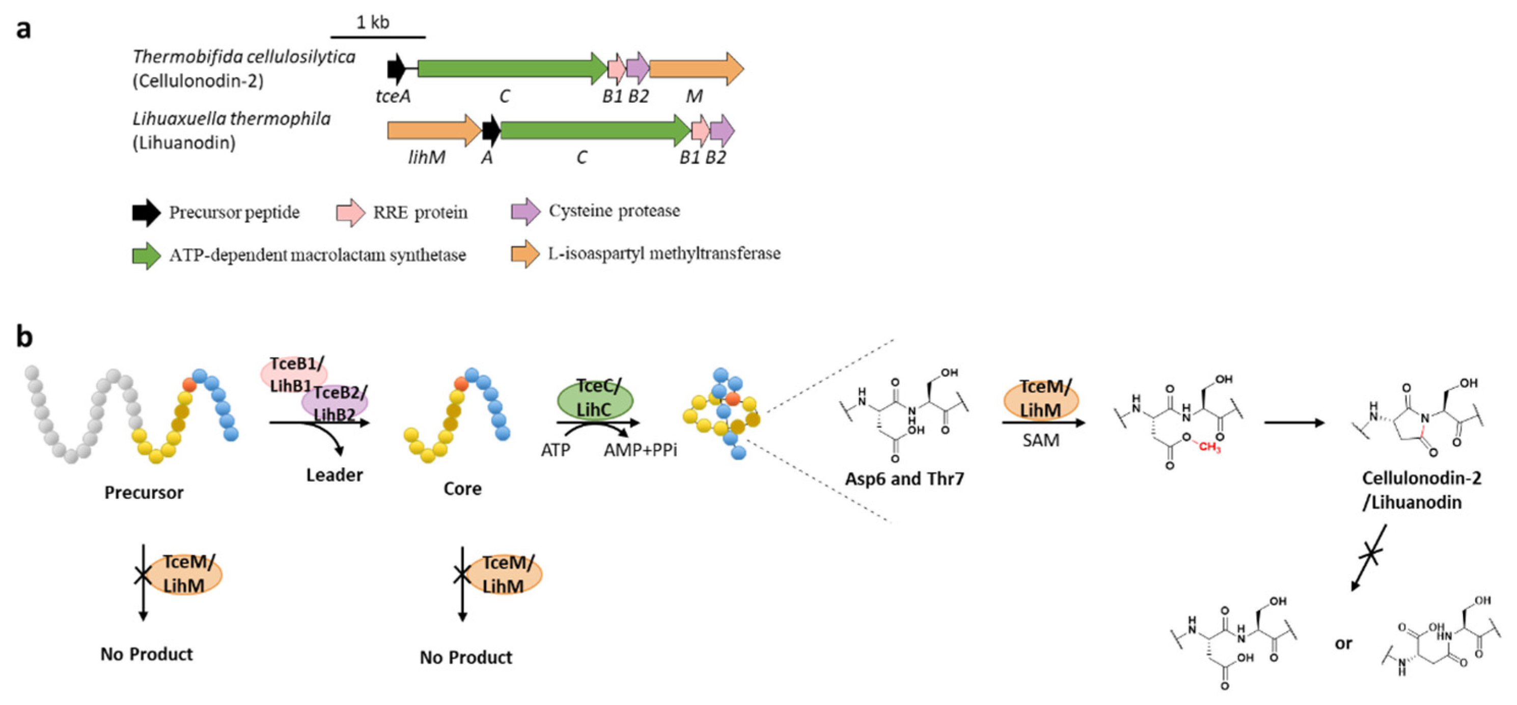 Ijms 23 07231 g009 Ijms 23 07231 g009