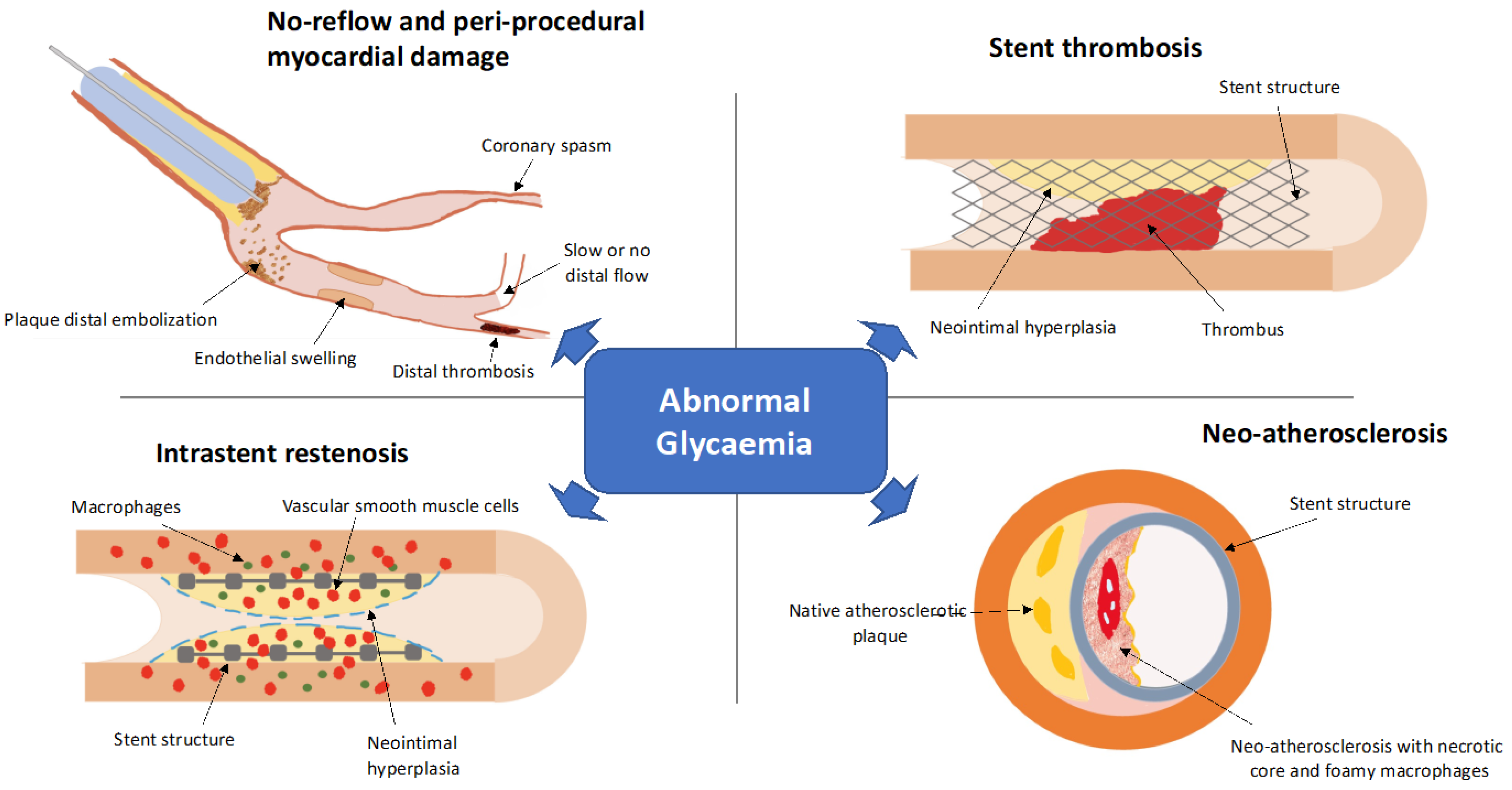 Ijms 23 07261 g002 Ijms 23 07261 g002