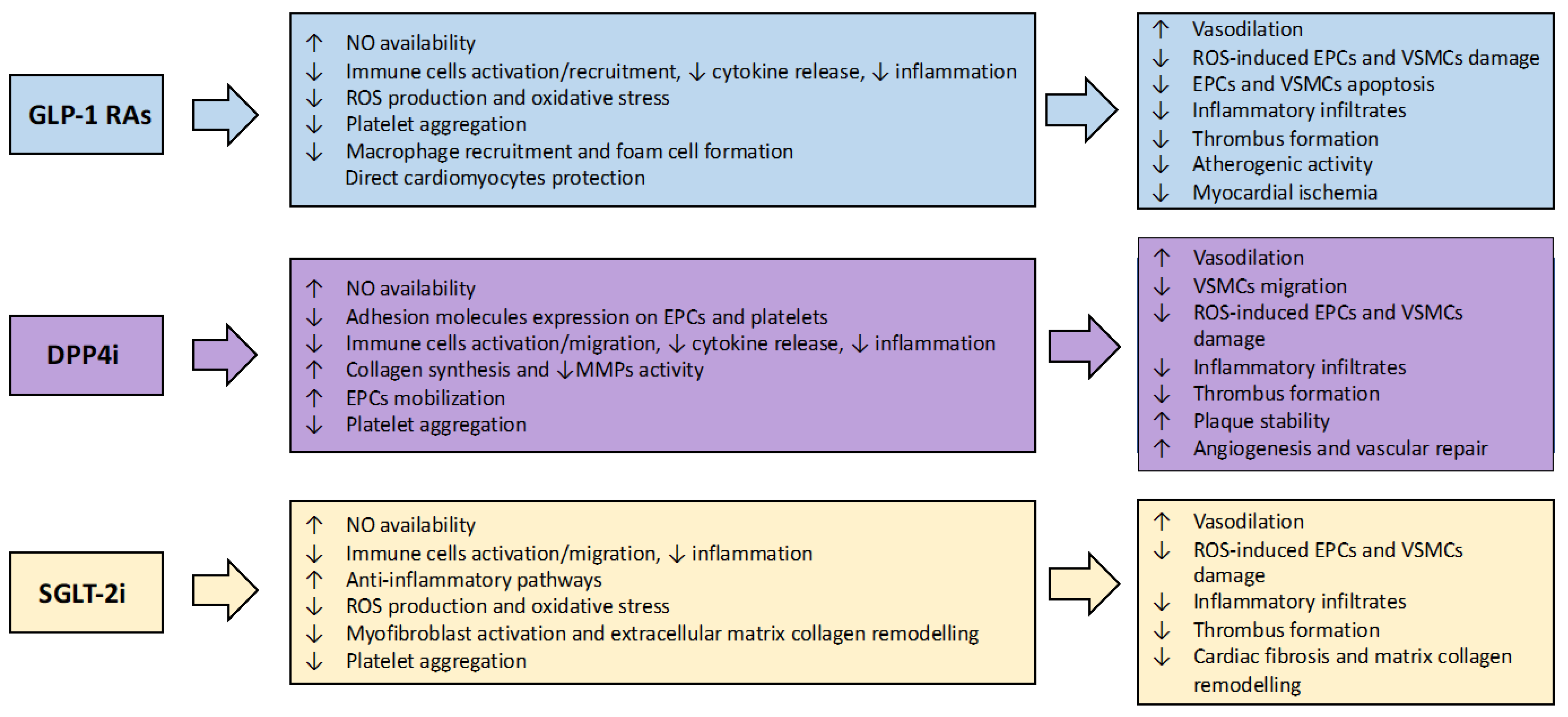 Ijms 23 07261 g003 Ijms 23 07261 g003